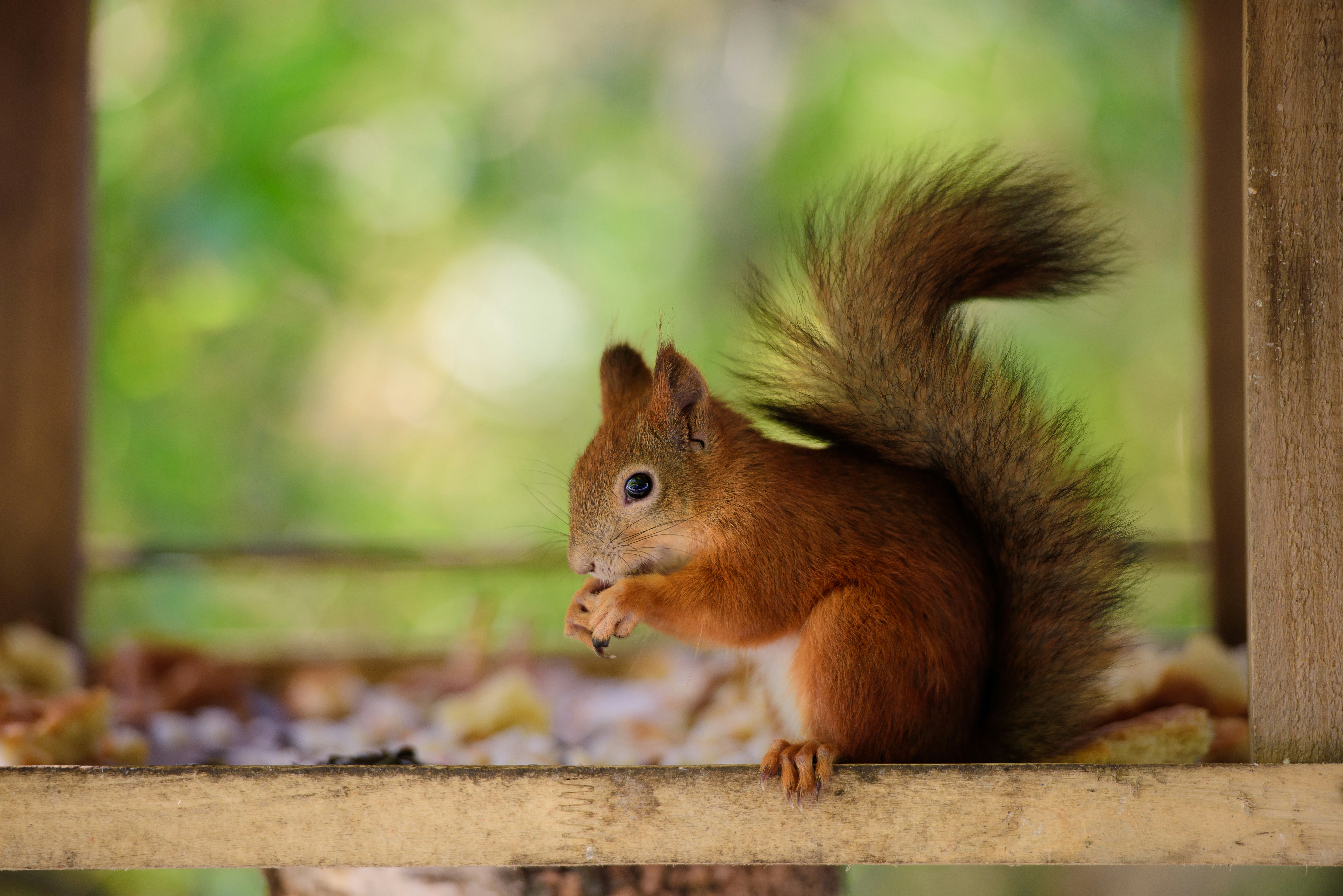 Photo by atreiusdream