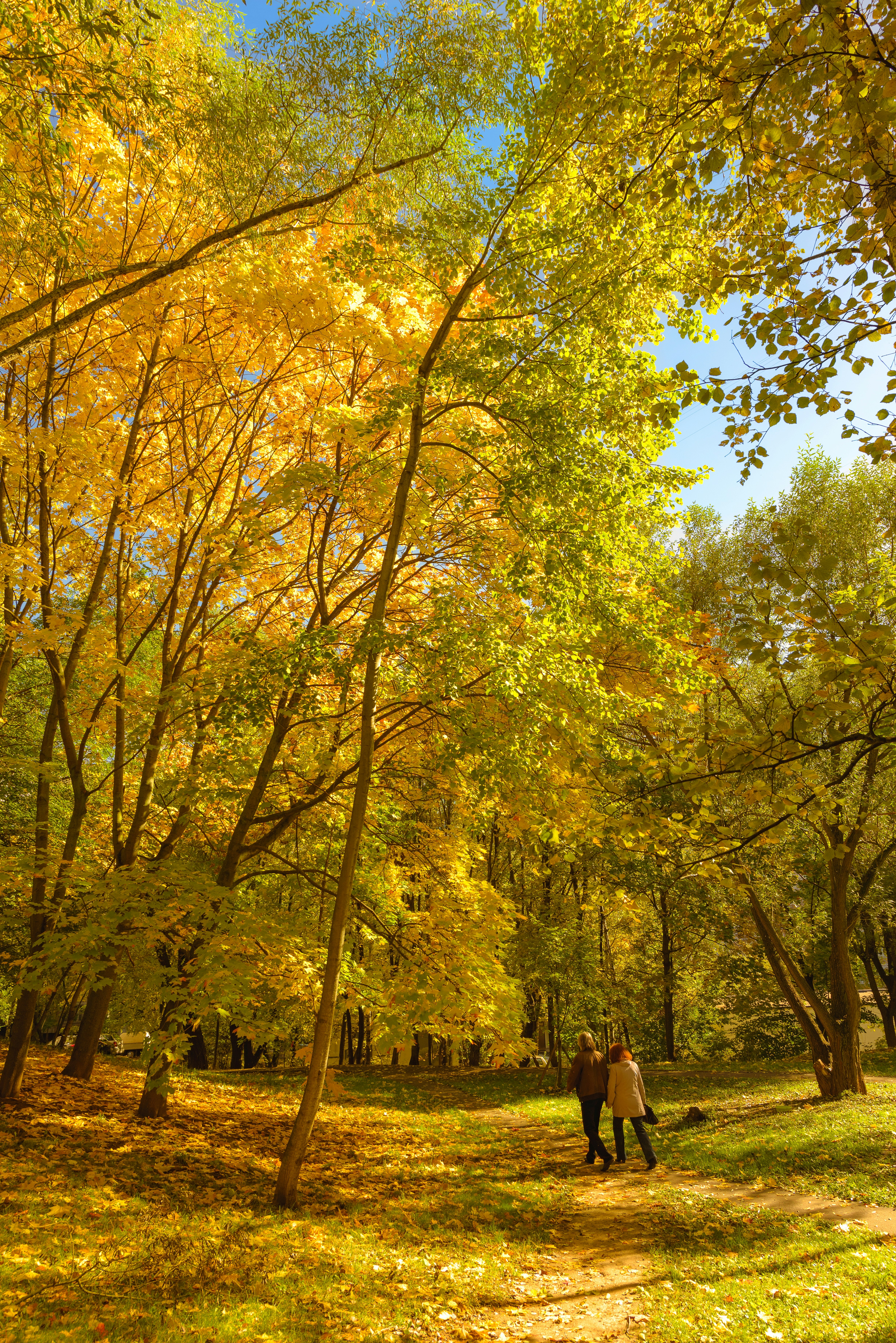 Photo by atreiusdream