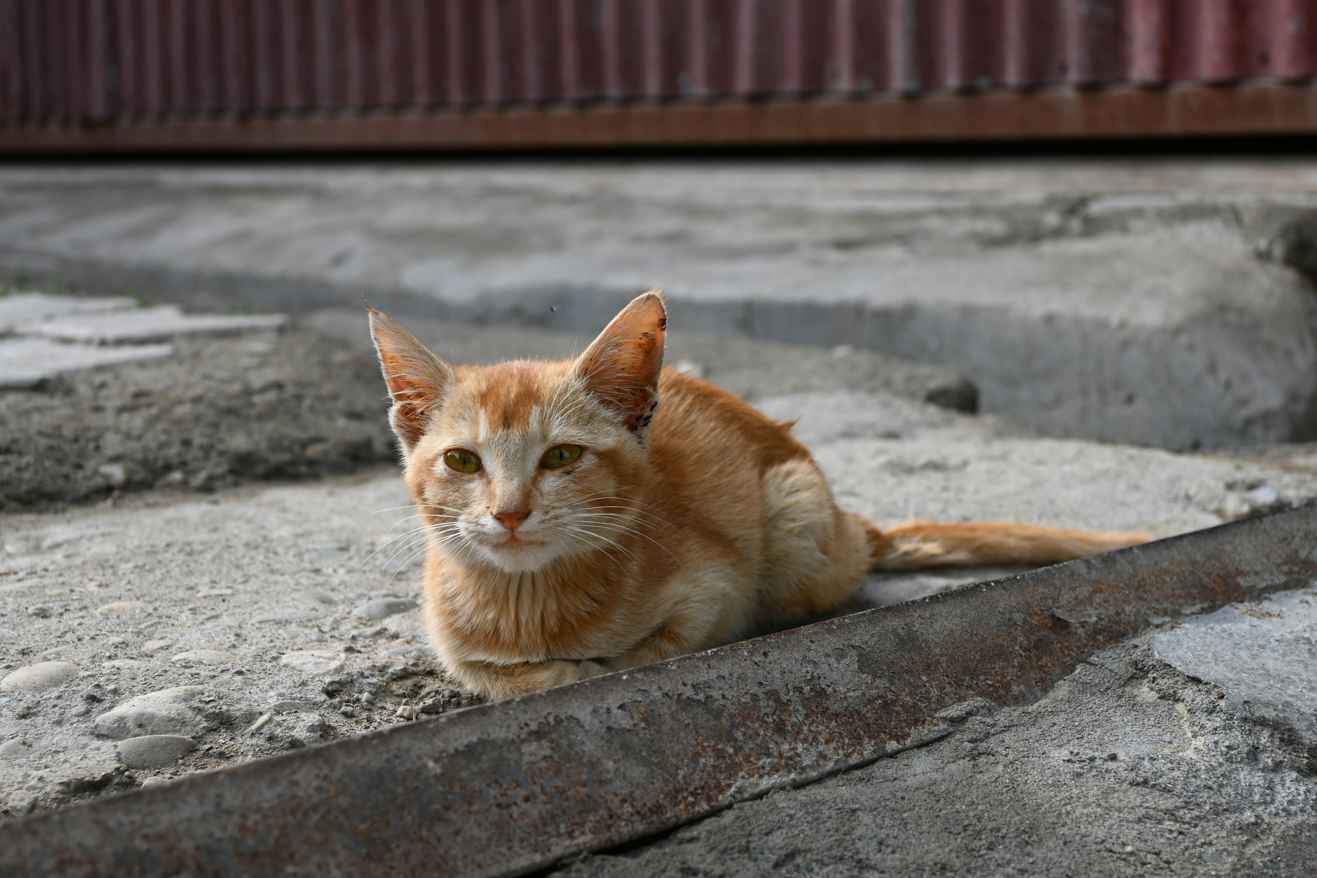 Photo by ambrish3031