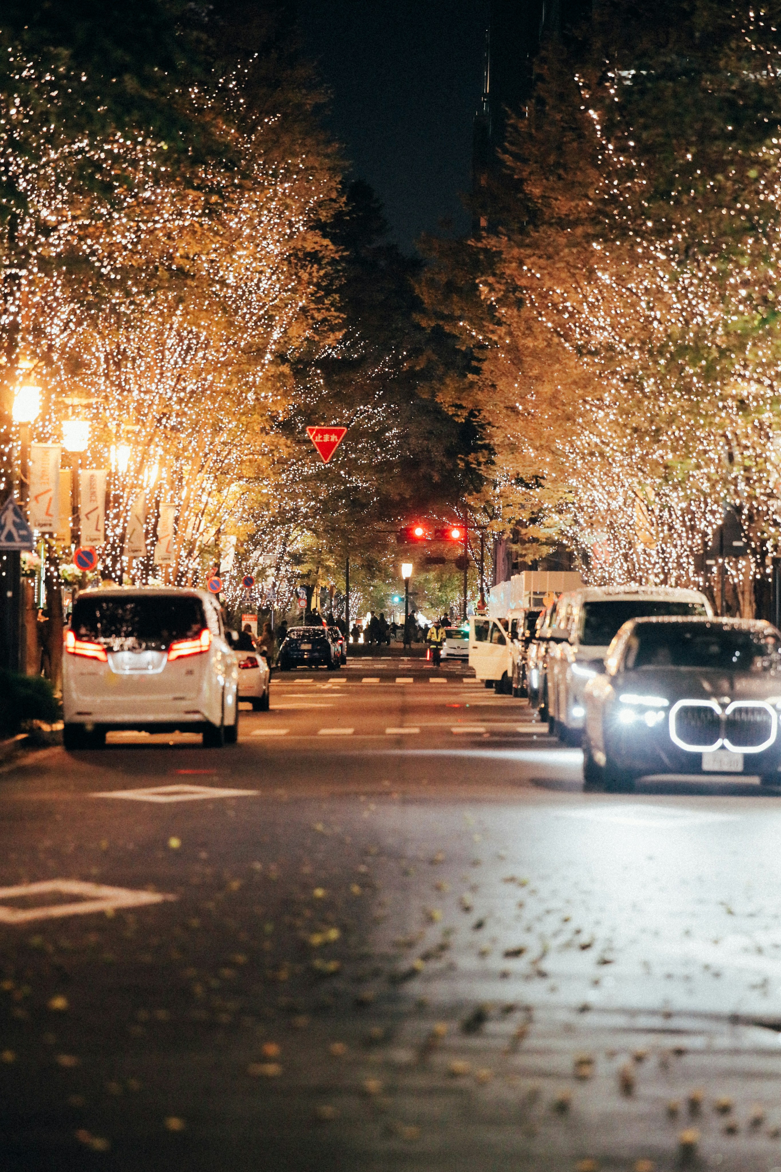 Photo by tsuyoshikozu