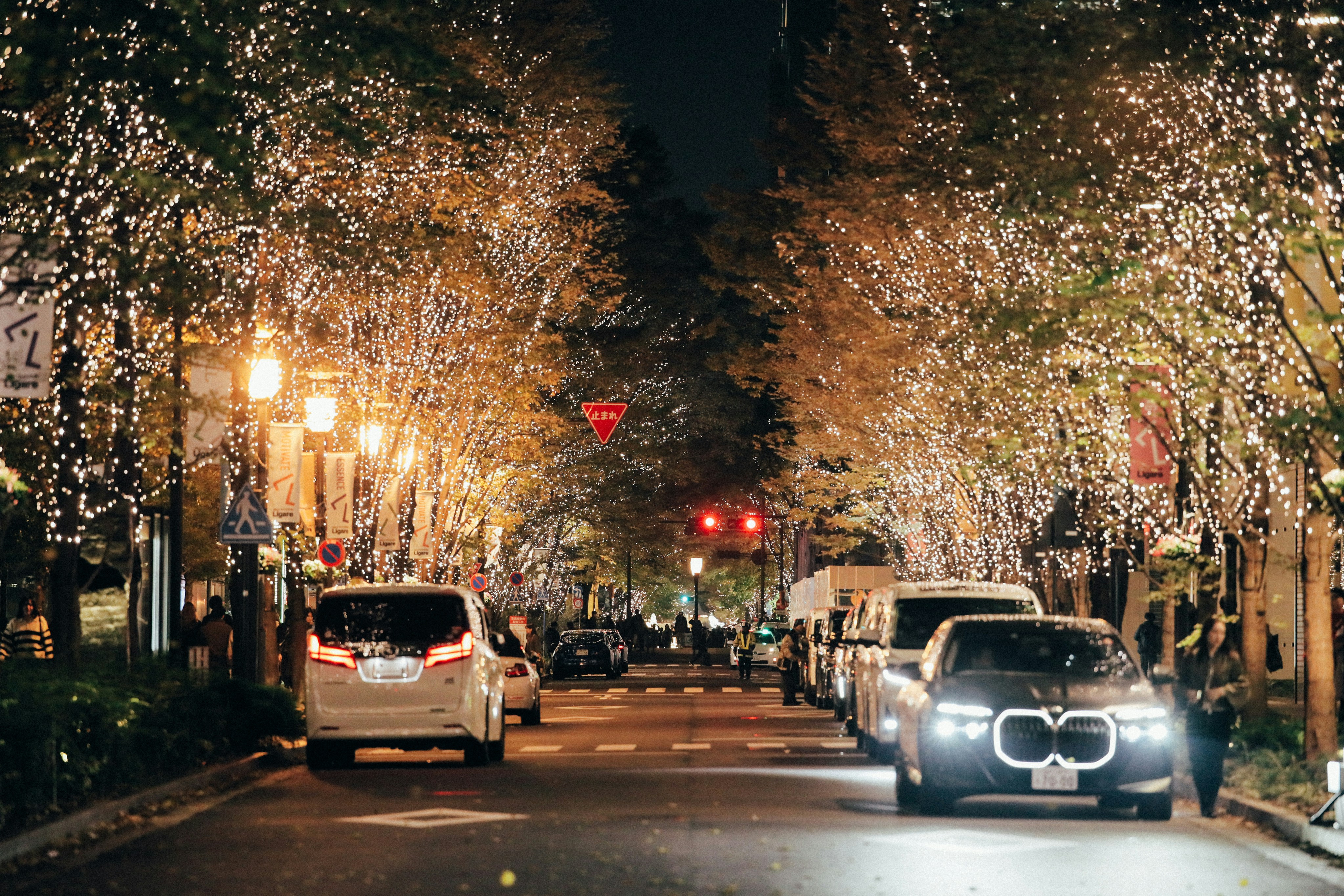 Photo by tsuyoshikozu