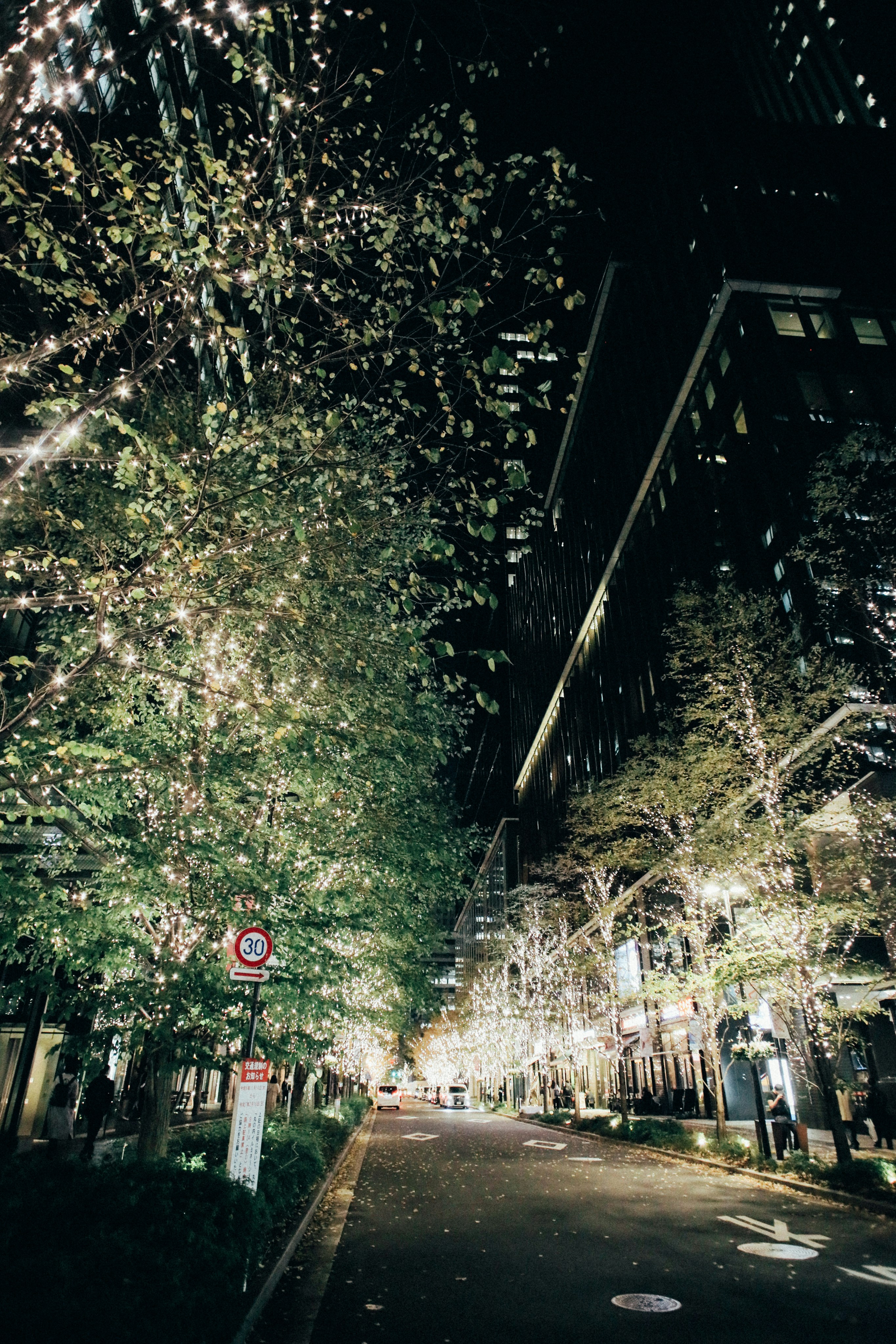 Photo by tsuyoshikozu