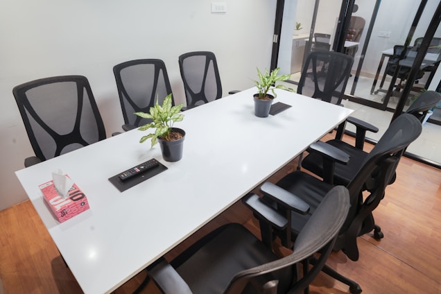 Meeting room with a table, chairs, and plants.