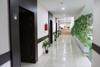 An office hallway with plants and several doors.