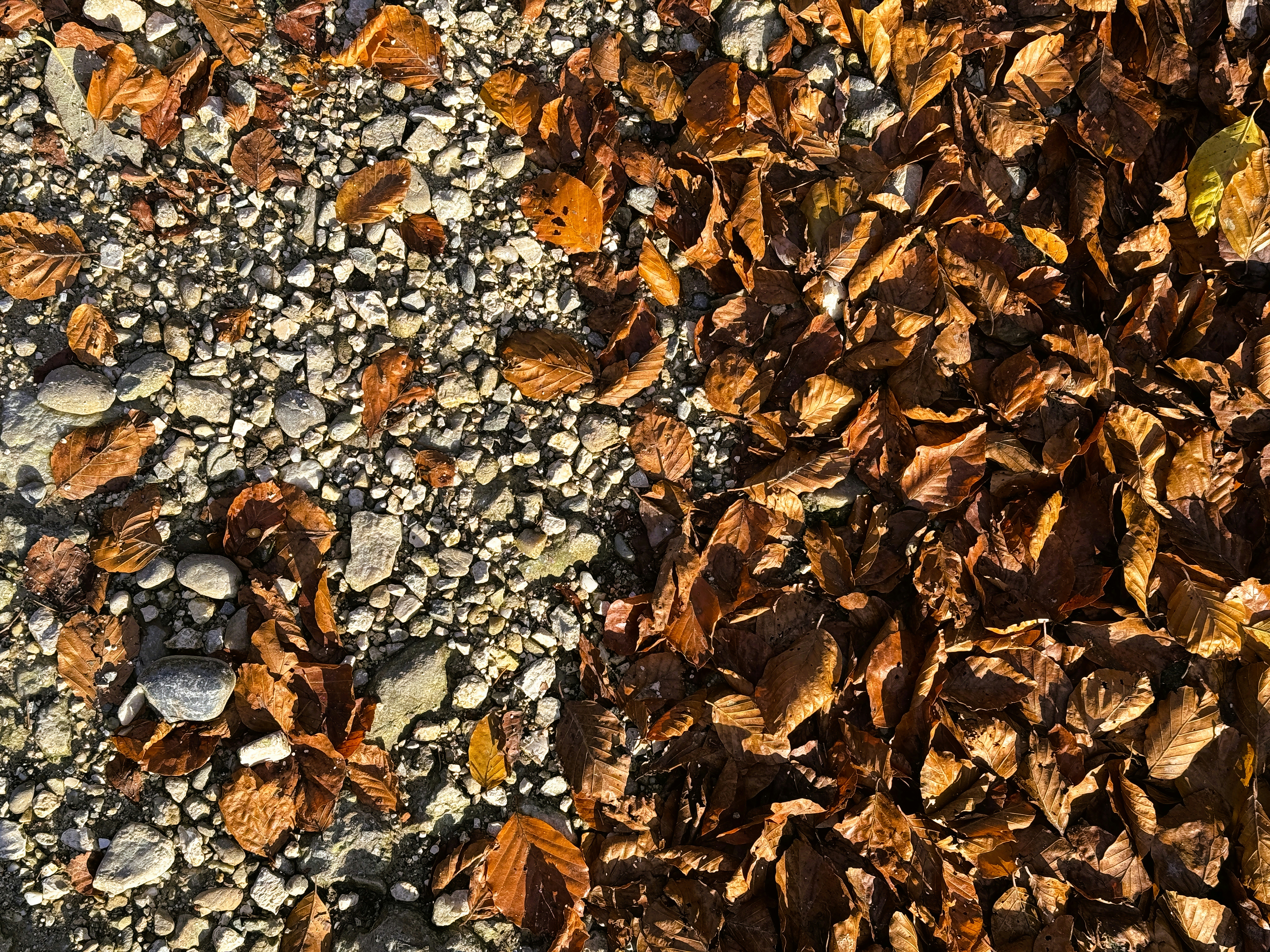 Photo by elias_schwegler