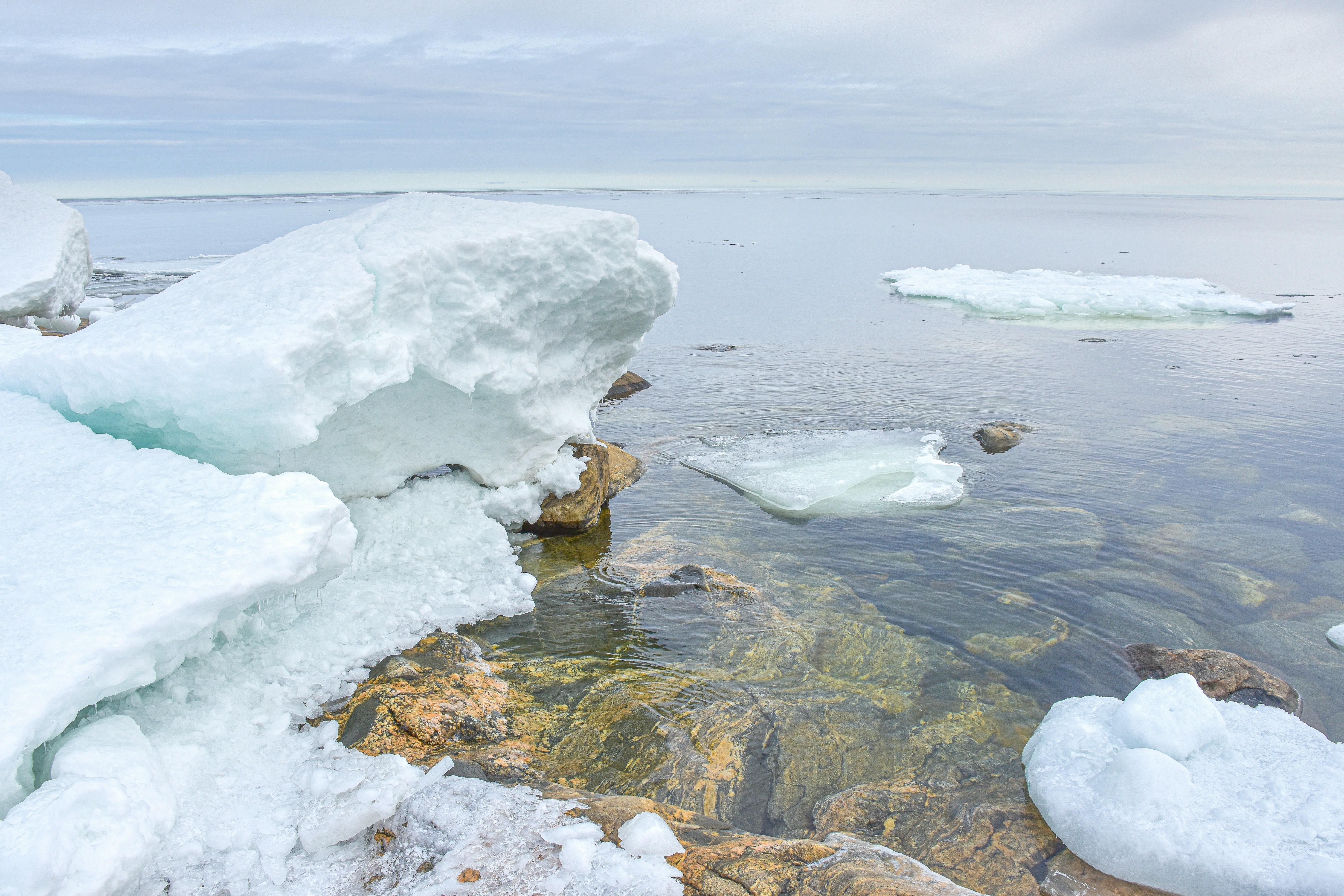 Photo by niklasjonasson