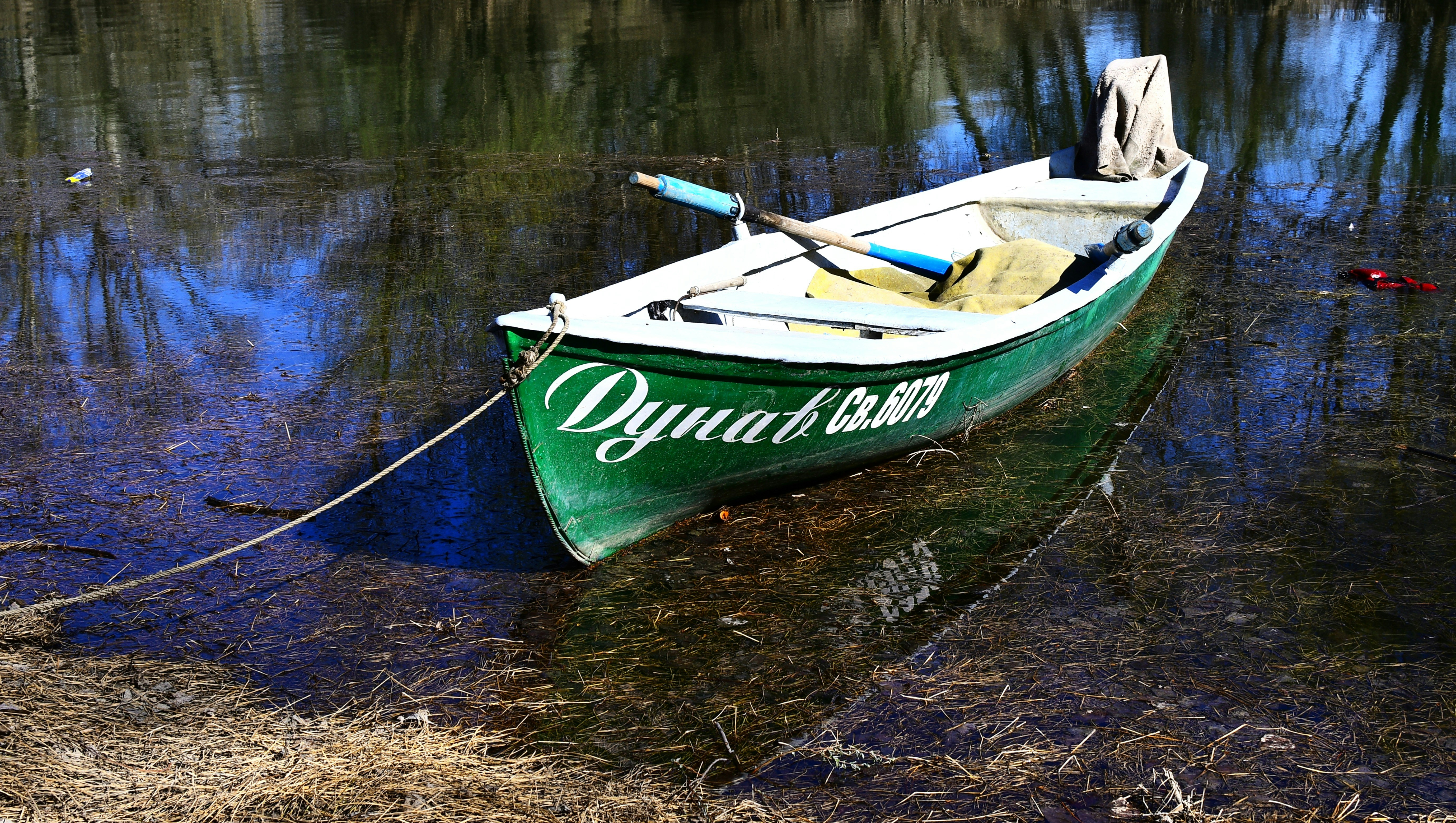 A green boat is tied near a shoreline.