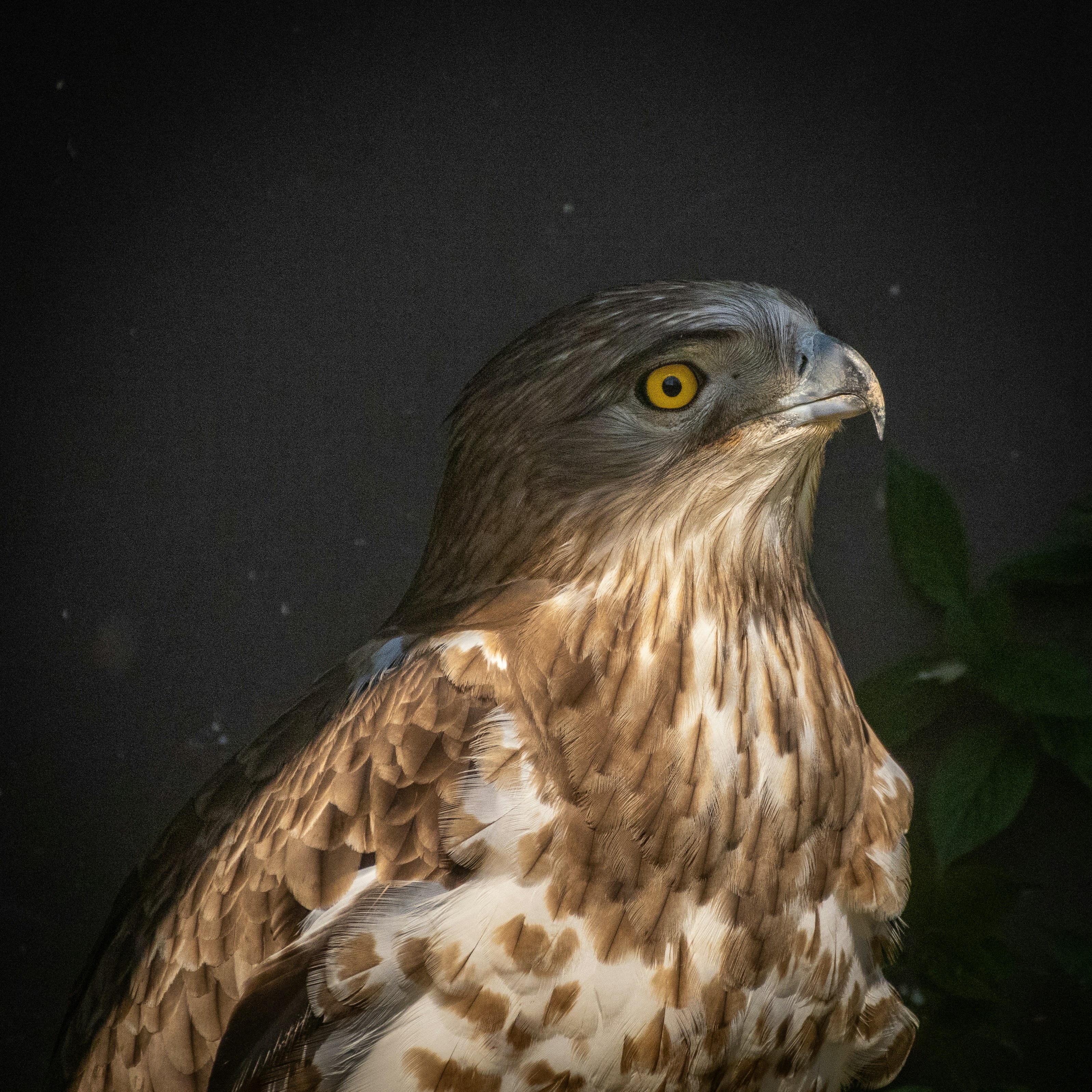 Photo by dani_photo_graphic