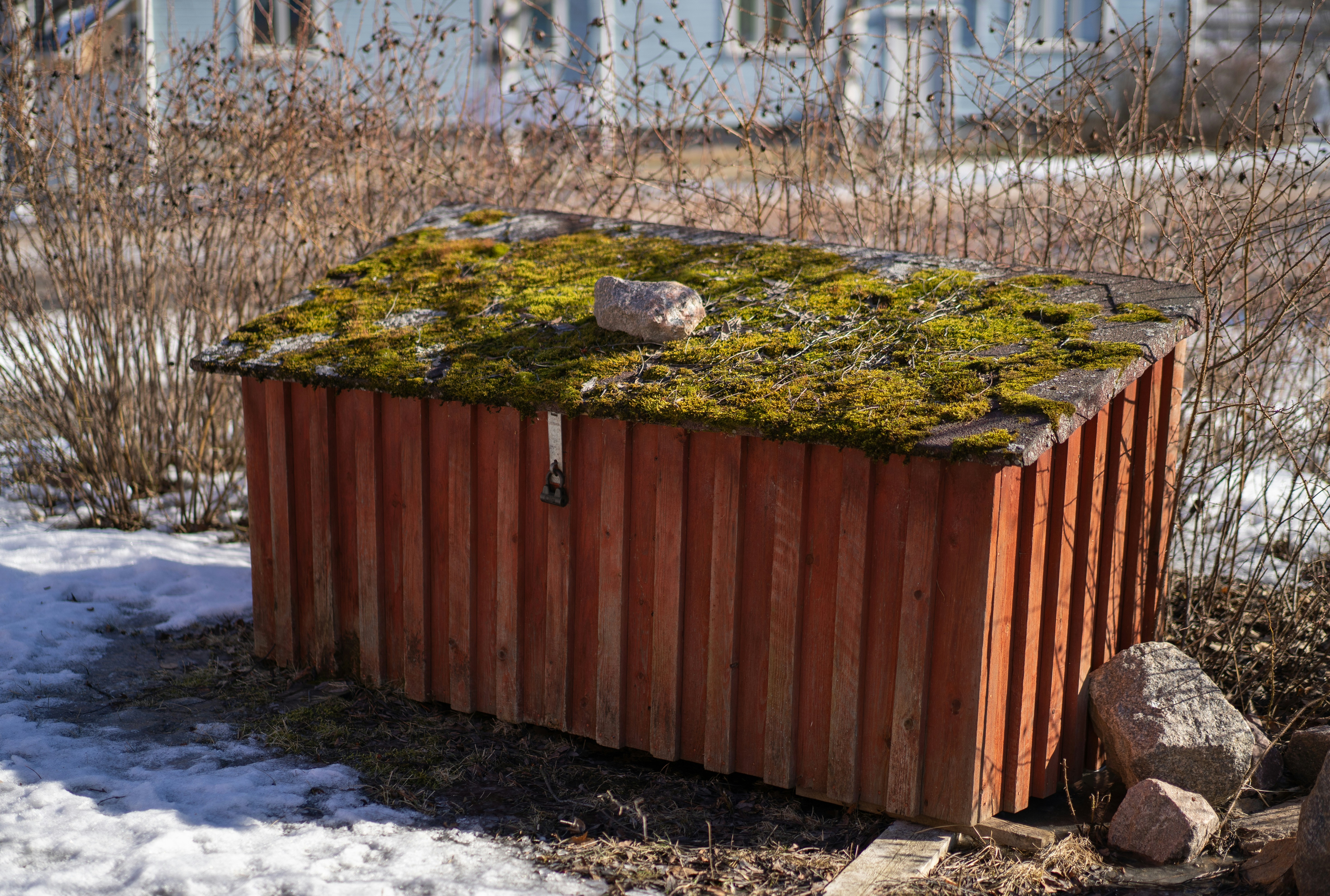 Moss grows on top of a red wooden shed.
