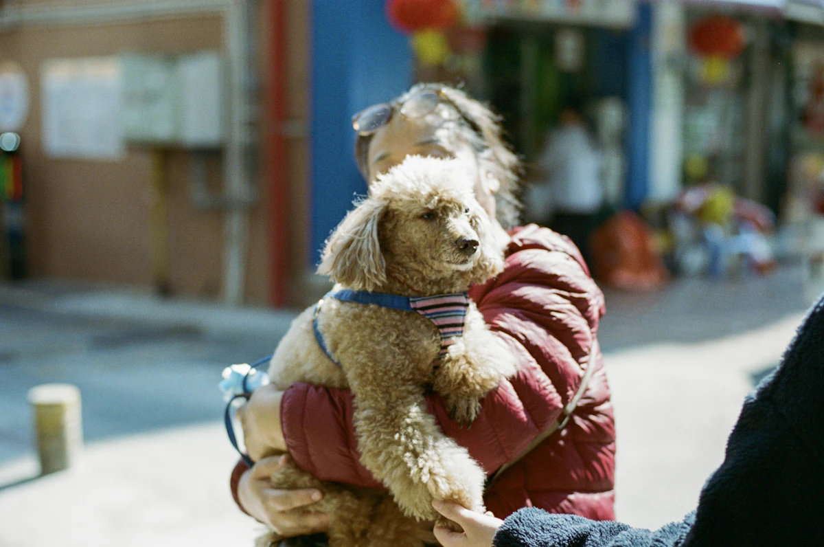 Why Vet Treatment Proposals Take Too Long in 2026