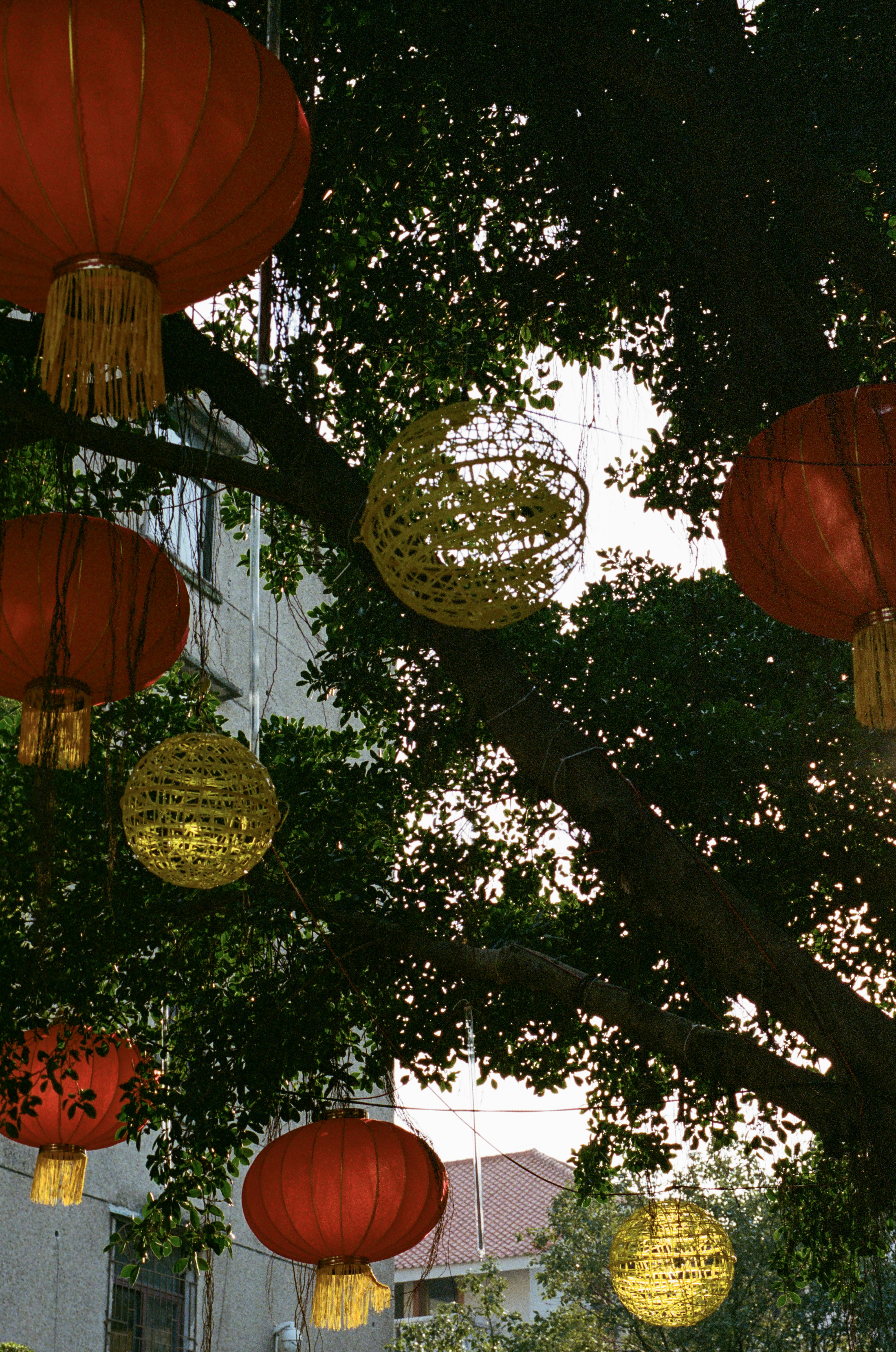 Photo by zhenyao_photo