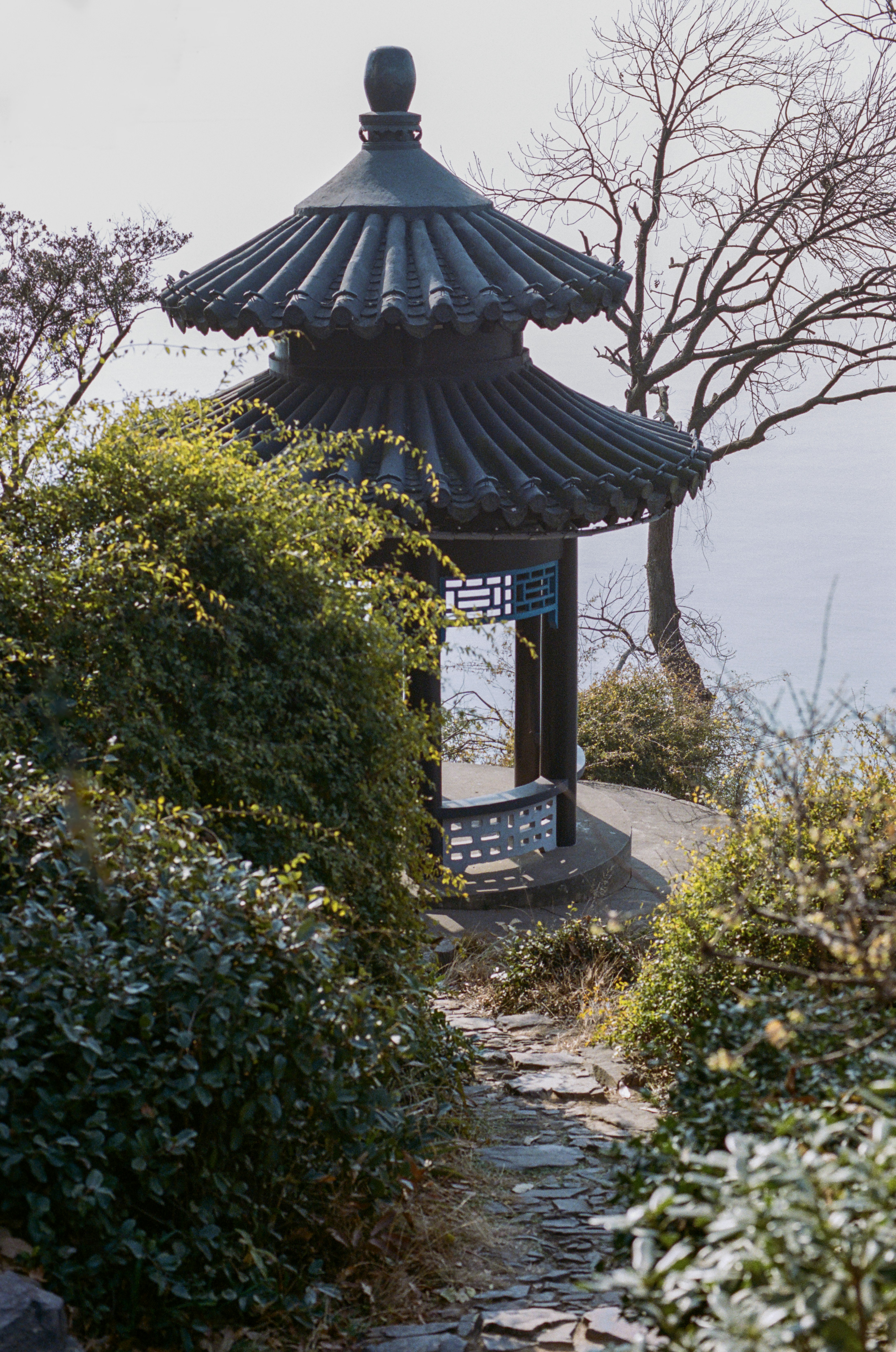 Photo by zhenyao_photo