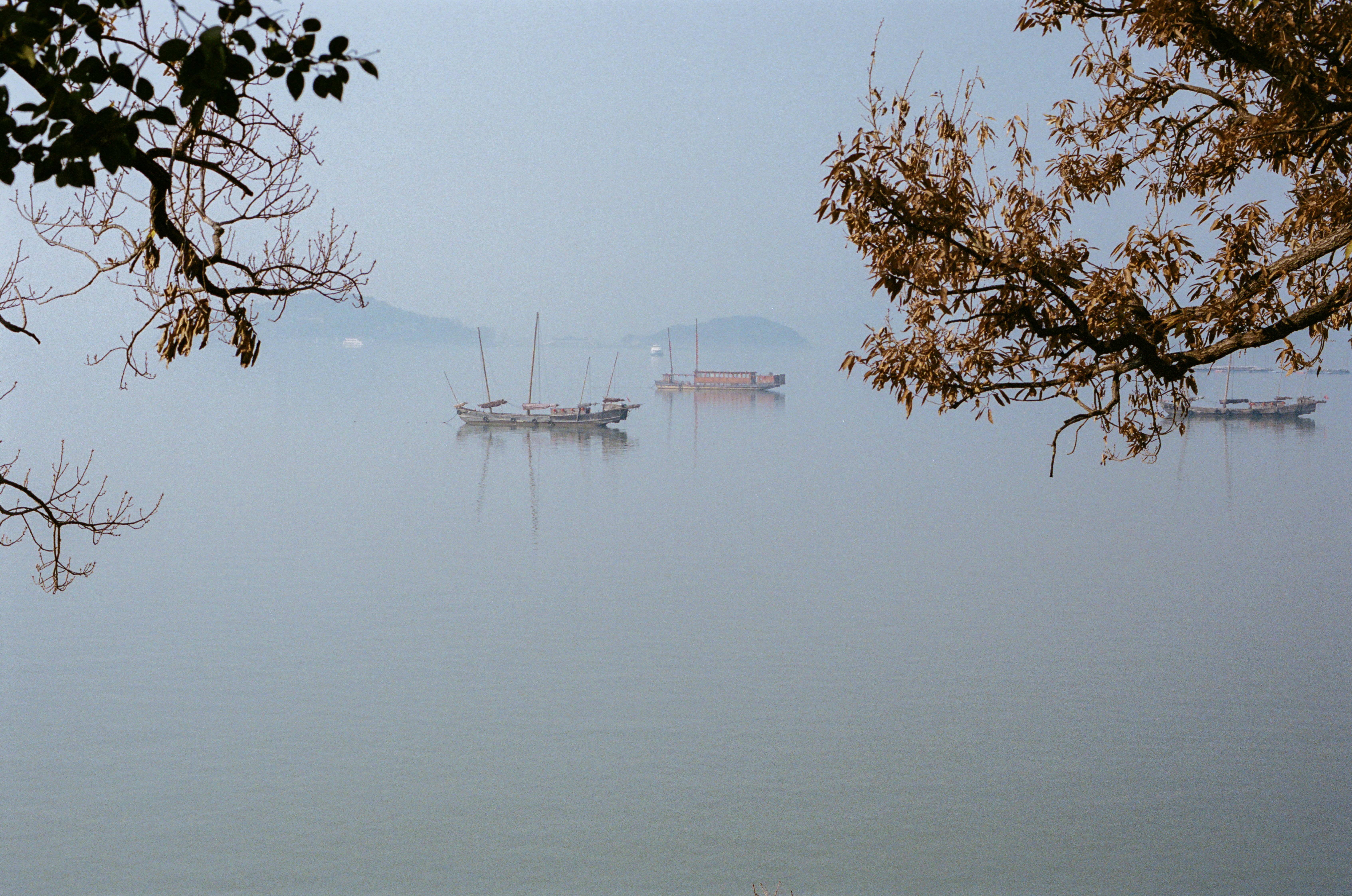 Photo by zhenyao_photo