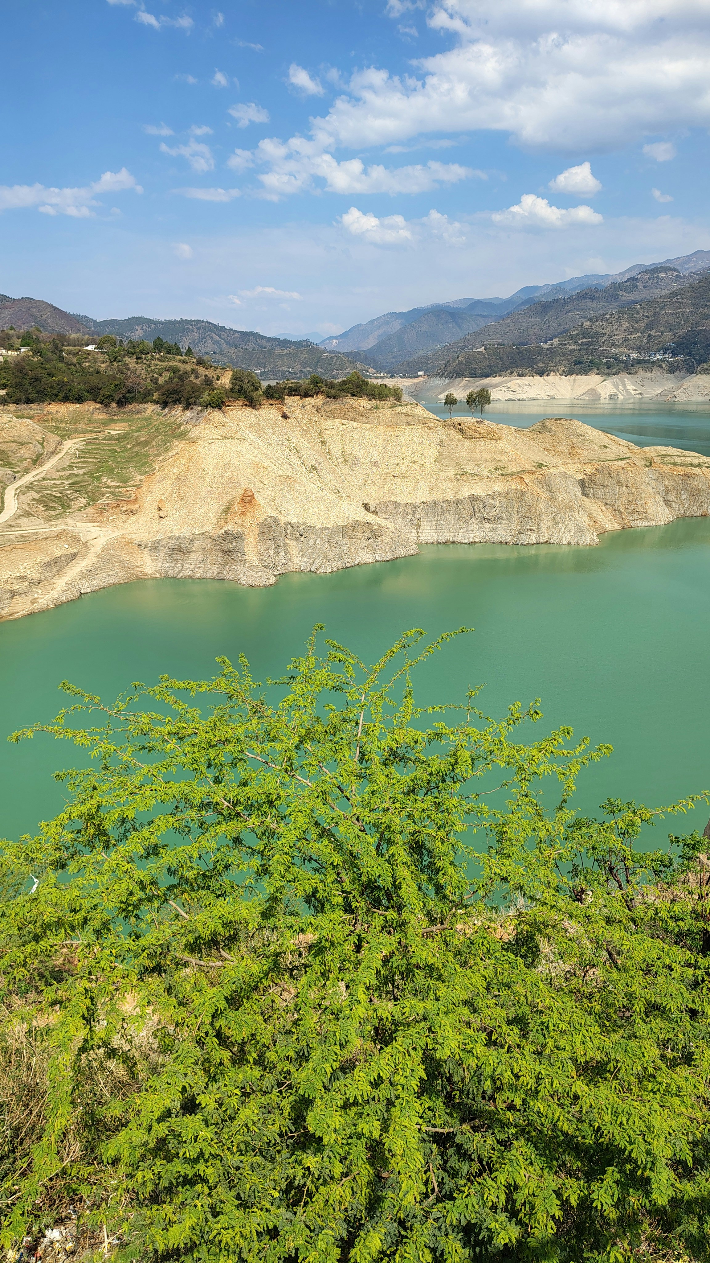 Photo by dendrophile