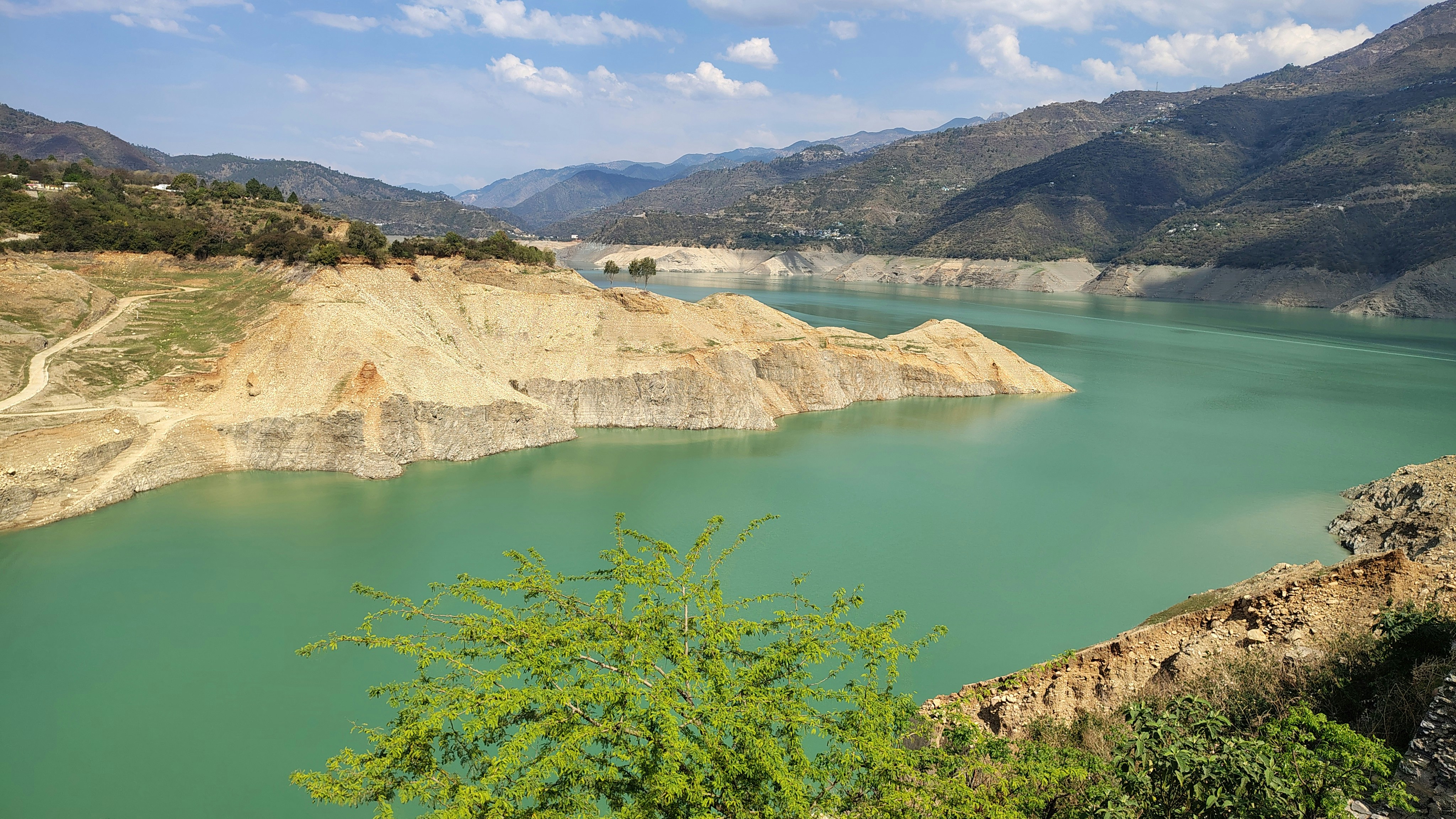 Photo by dendrophile