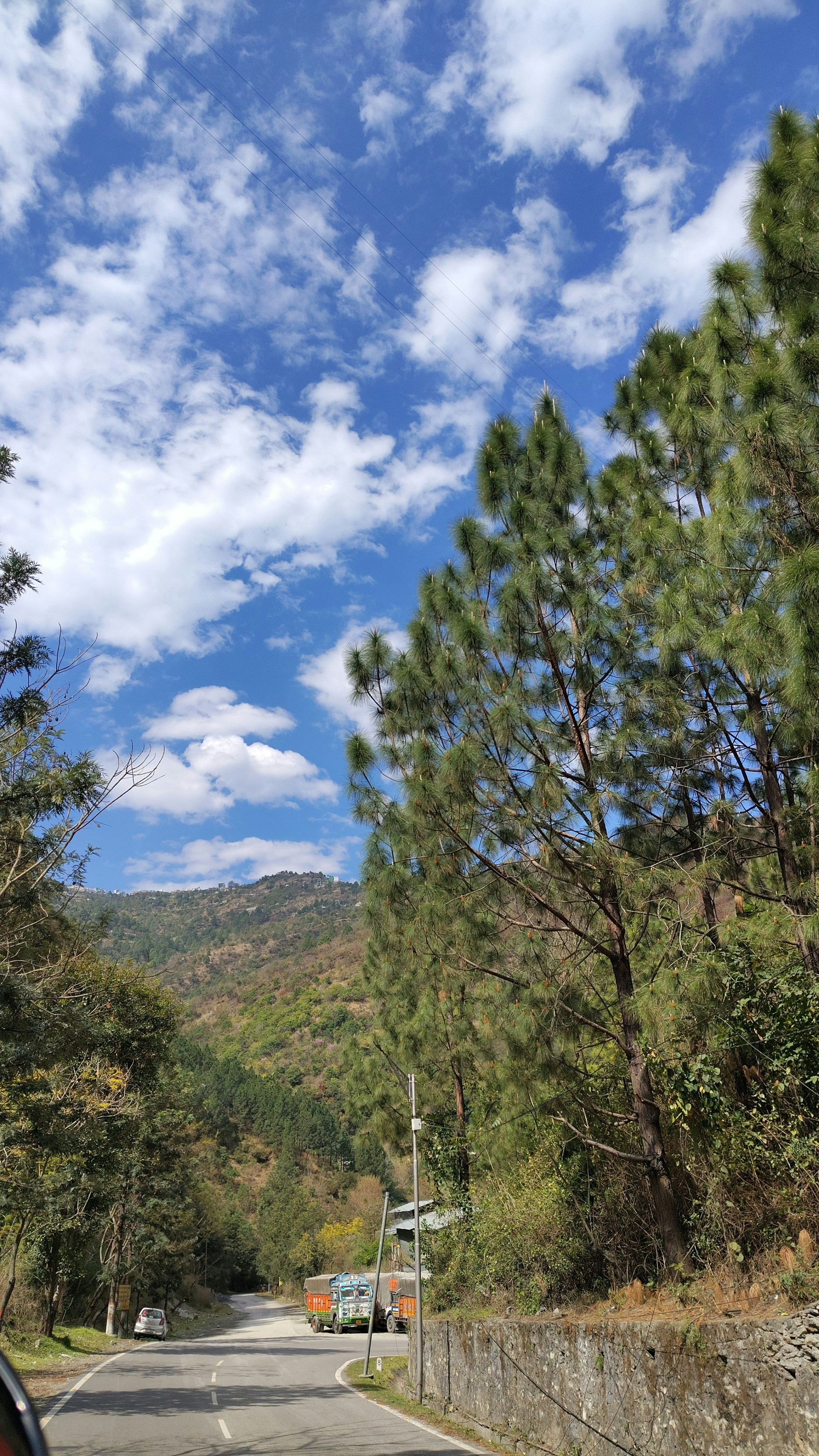 Photo by dendrophile