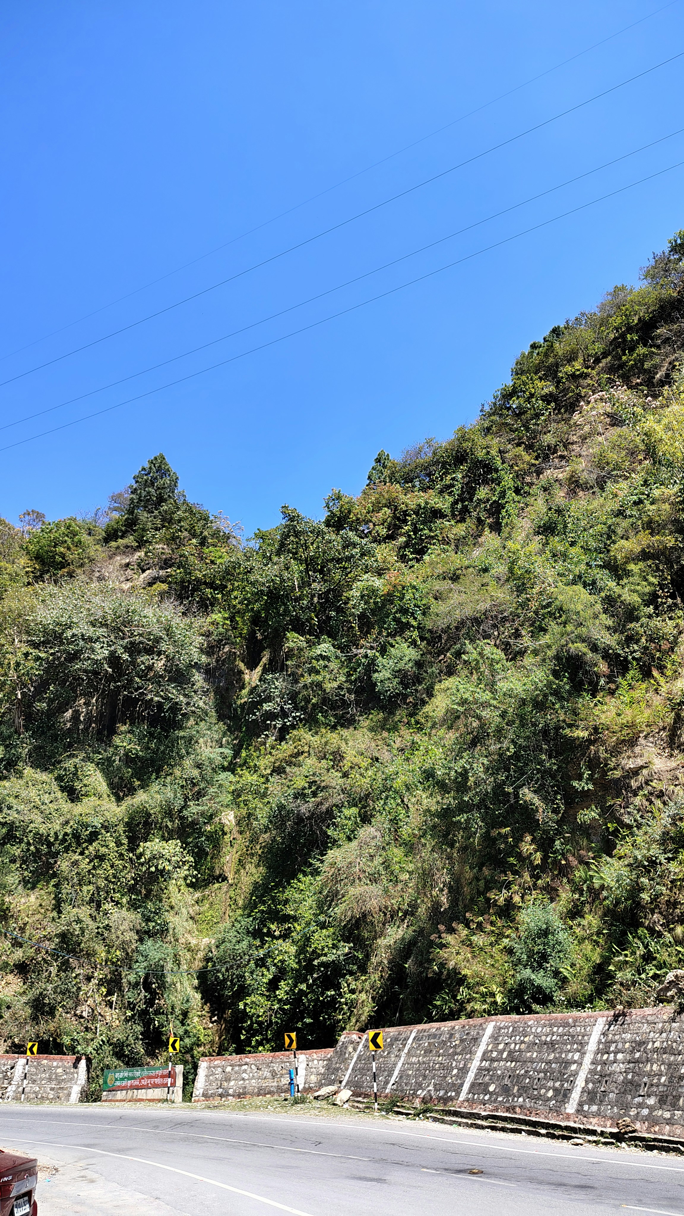 Photo by dendrophile