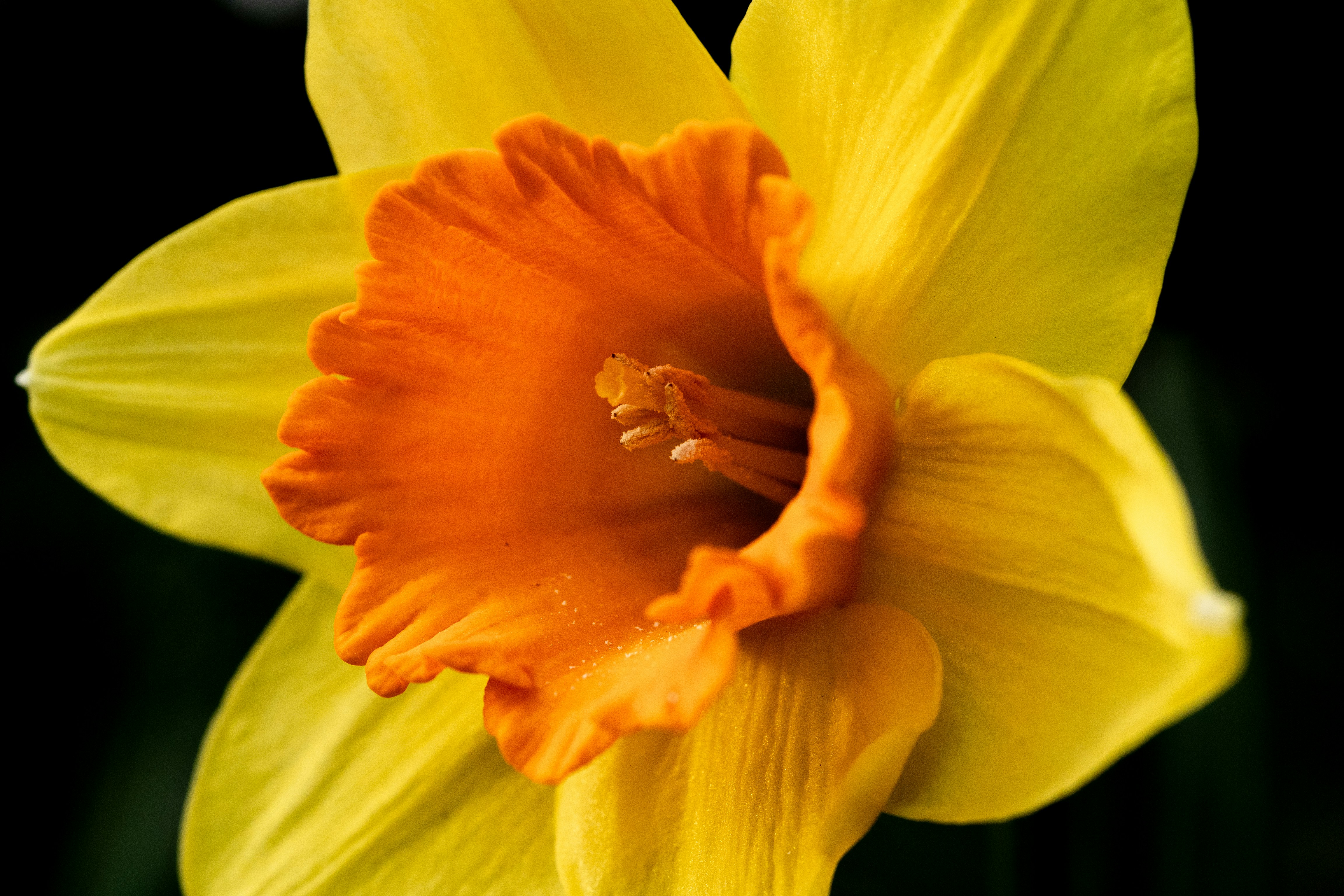 Photo by robertschwarz