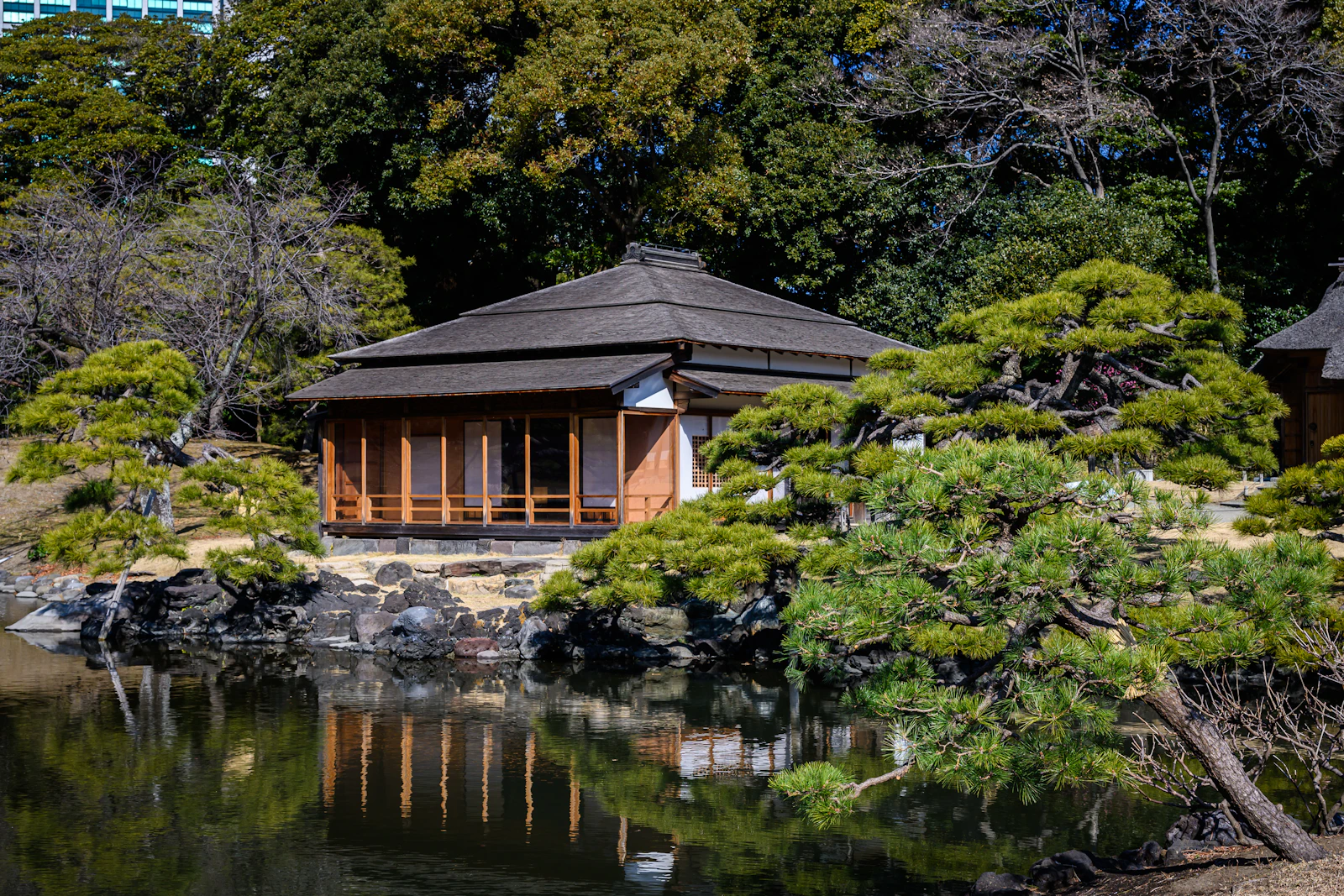 Traditional Japanese building surrounded by a garden