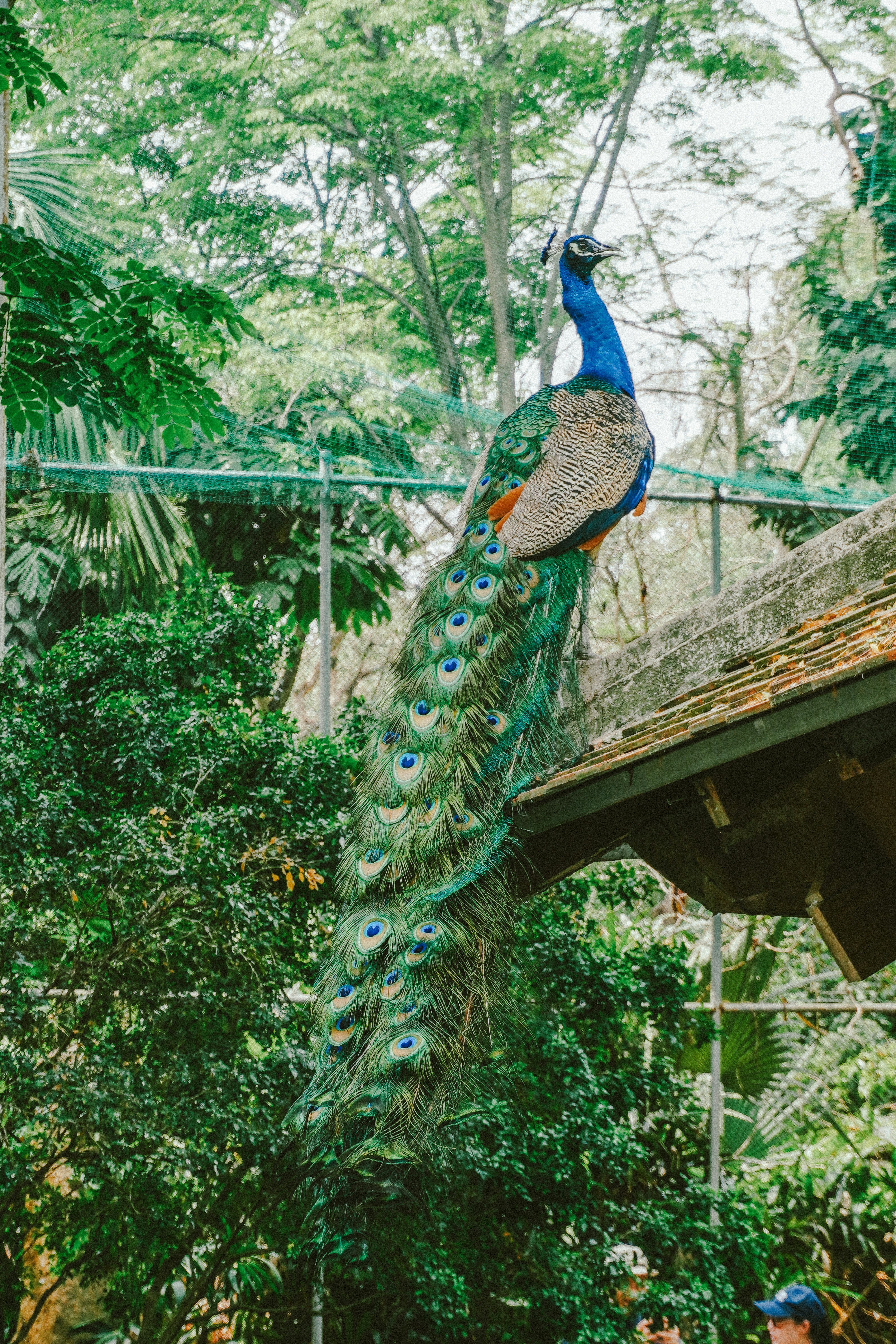 Photo by jaydinh1296