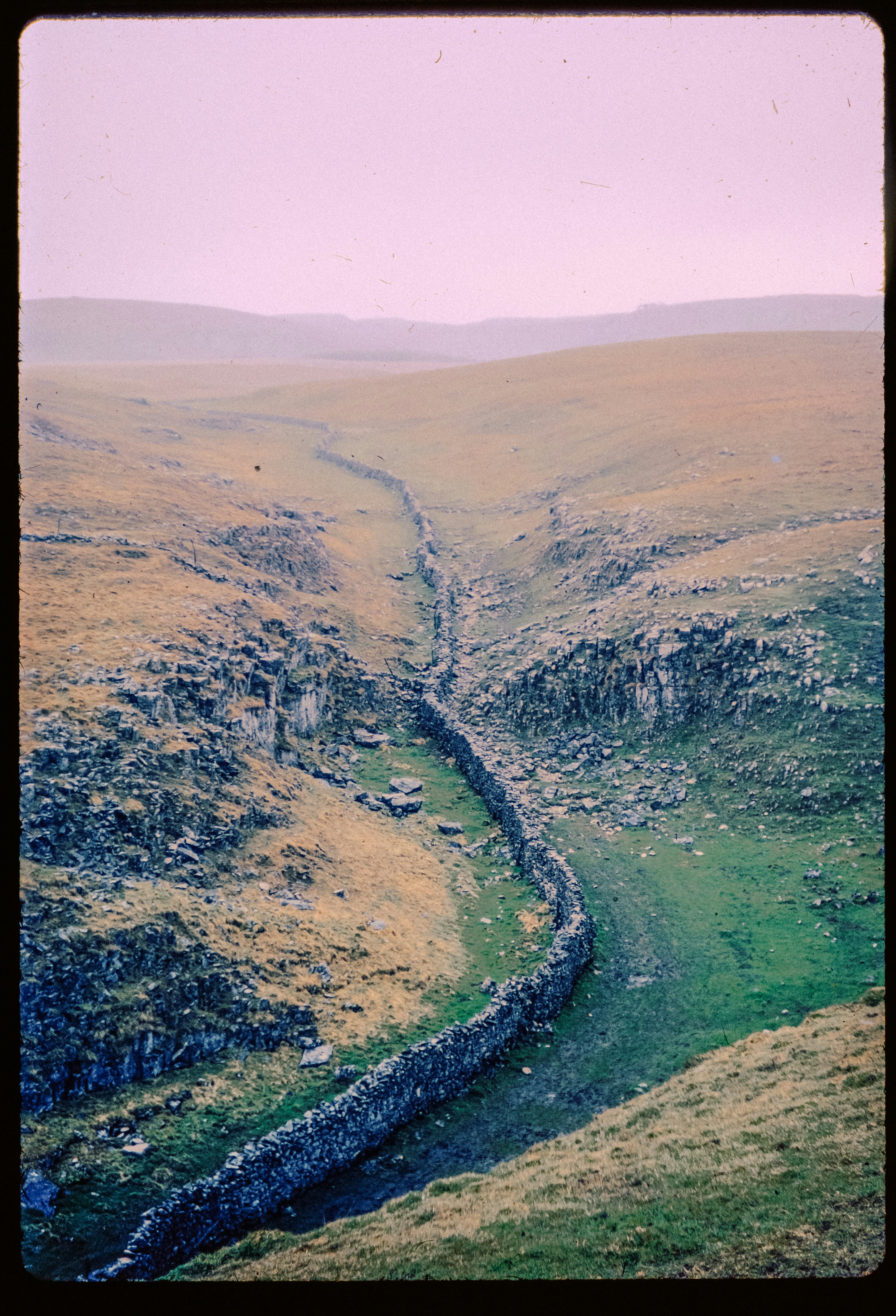 Photo by anniespratt