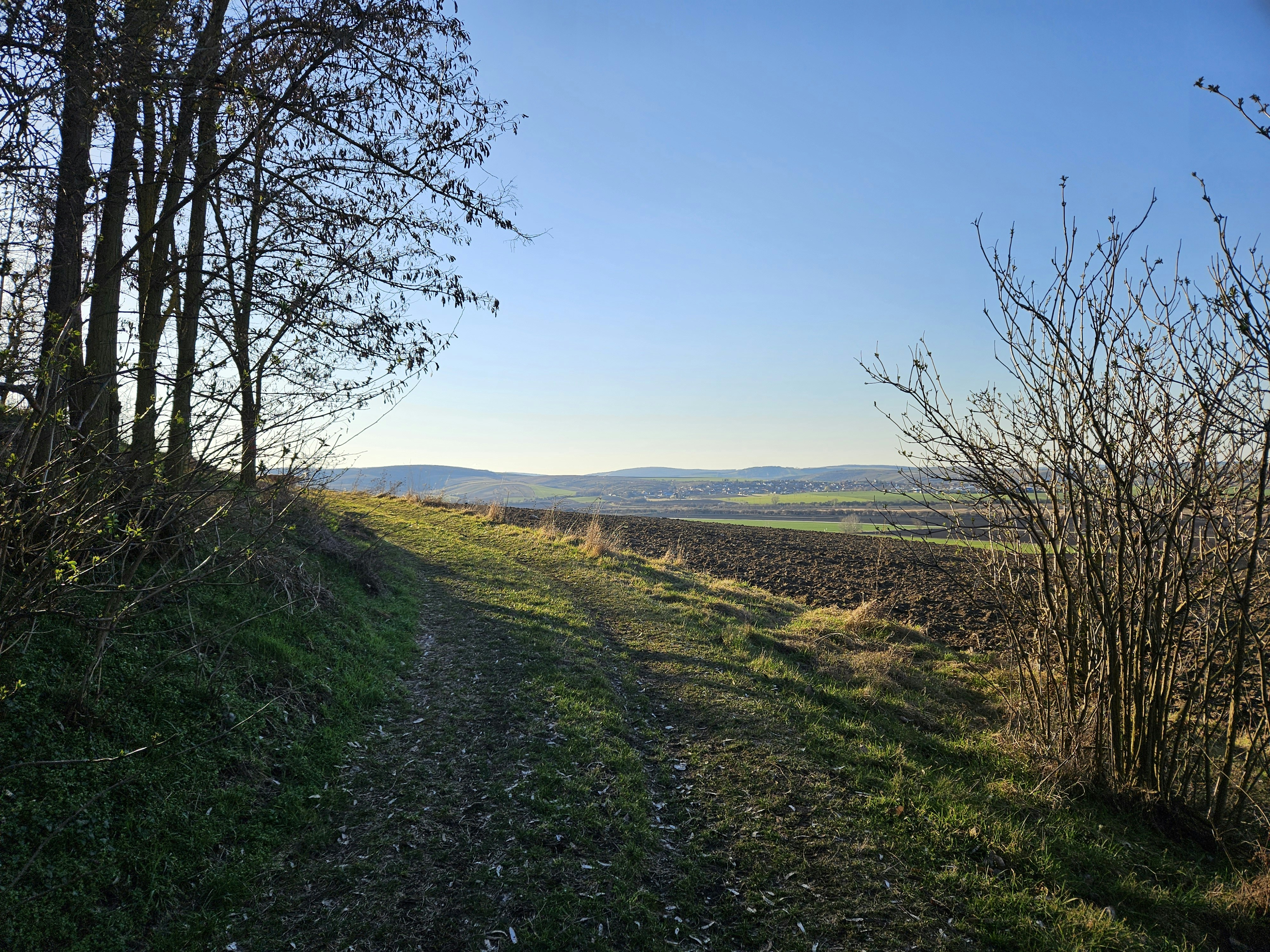 Photo by marjorylucabaxter