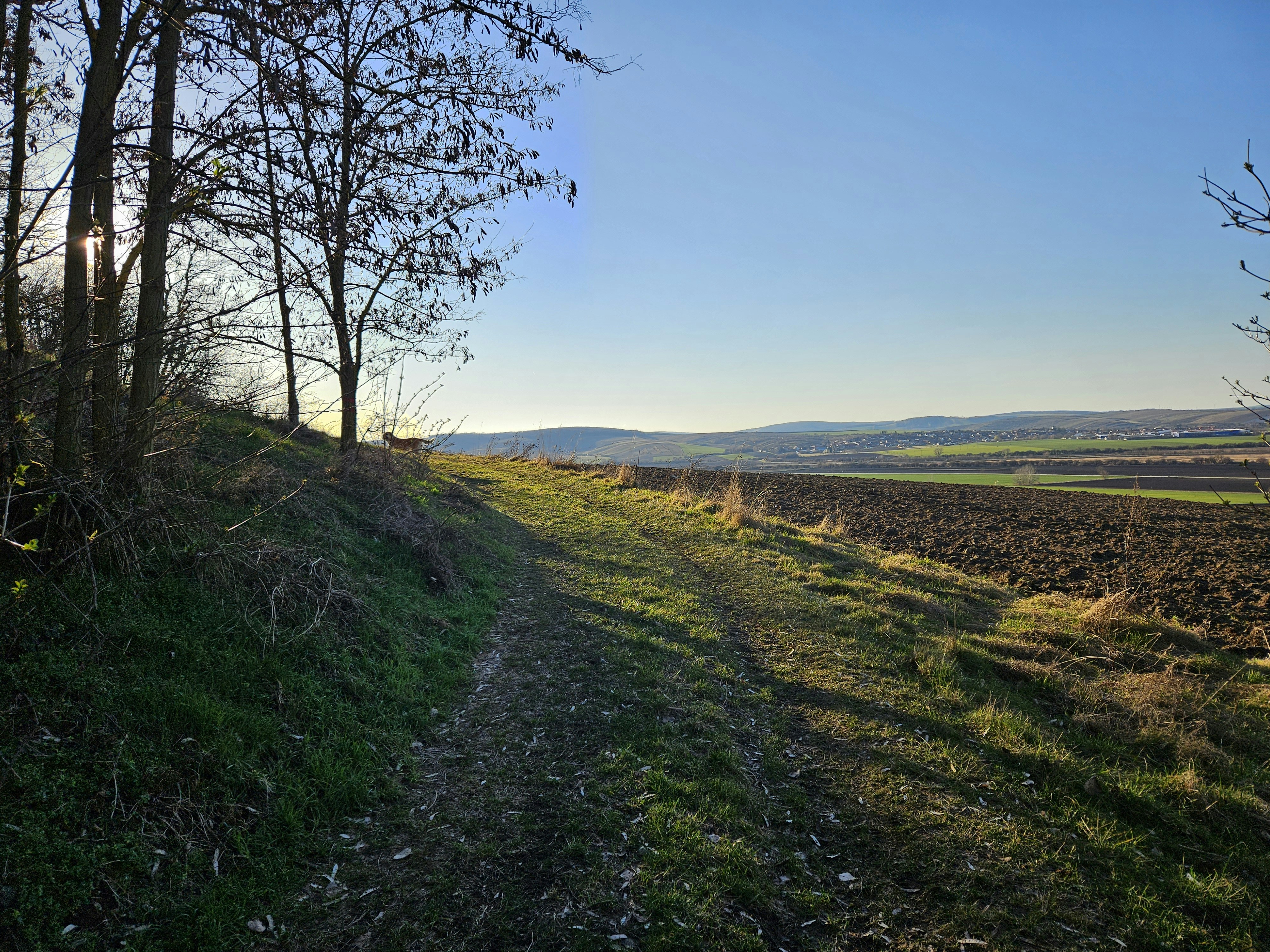 Photo by marjorylucabaxter