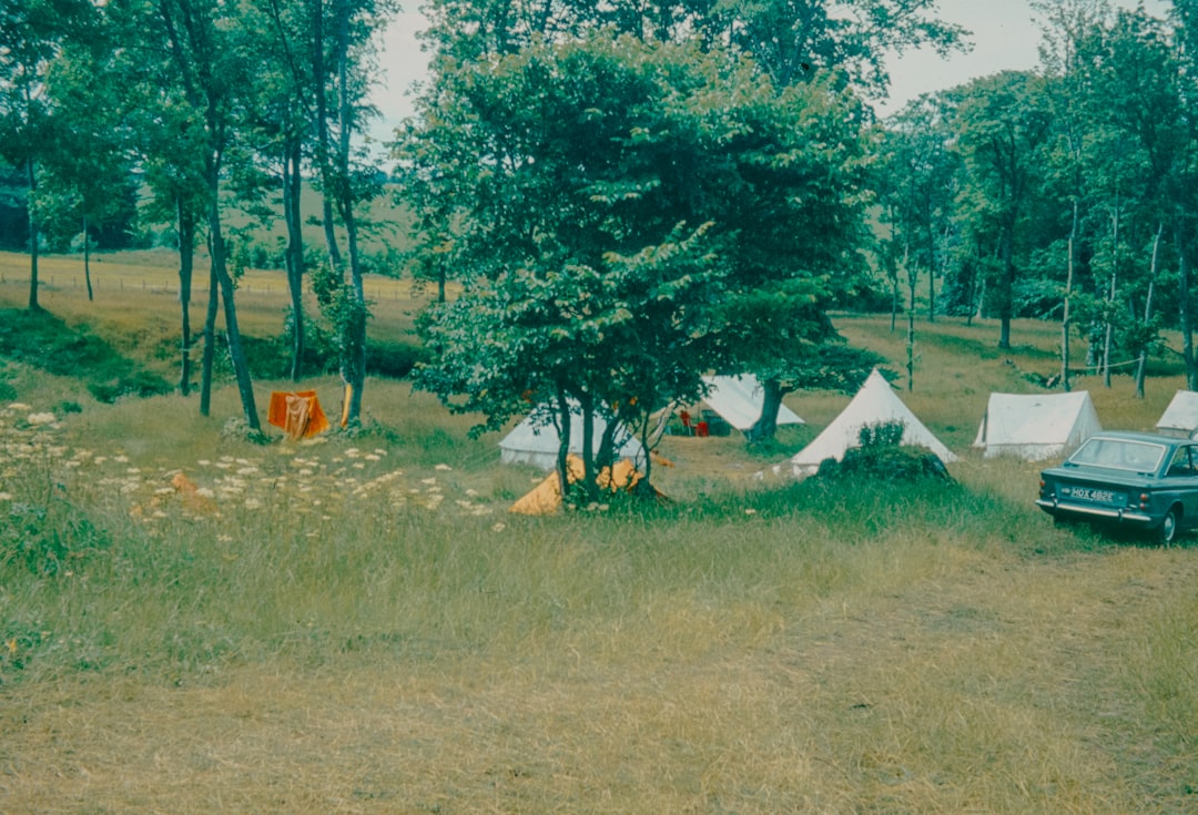 Camping tents are set up in a grassy field.,
