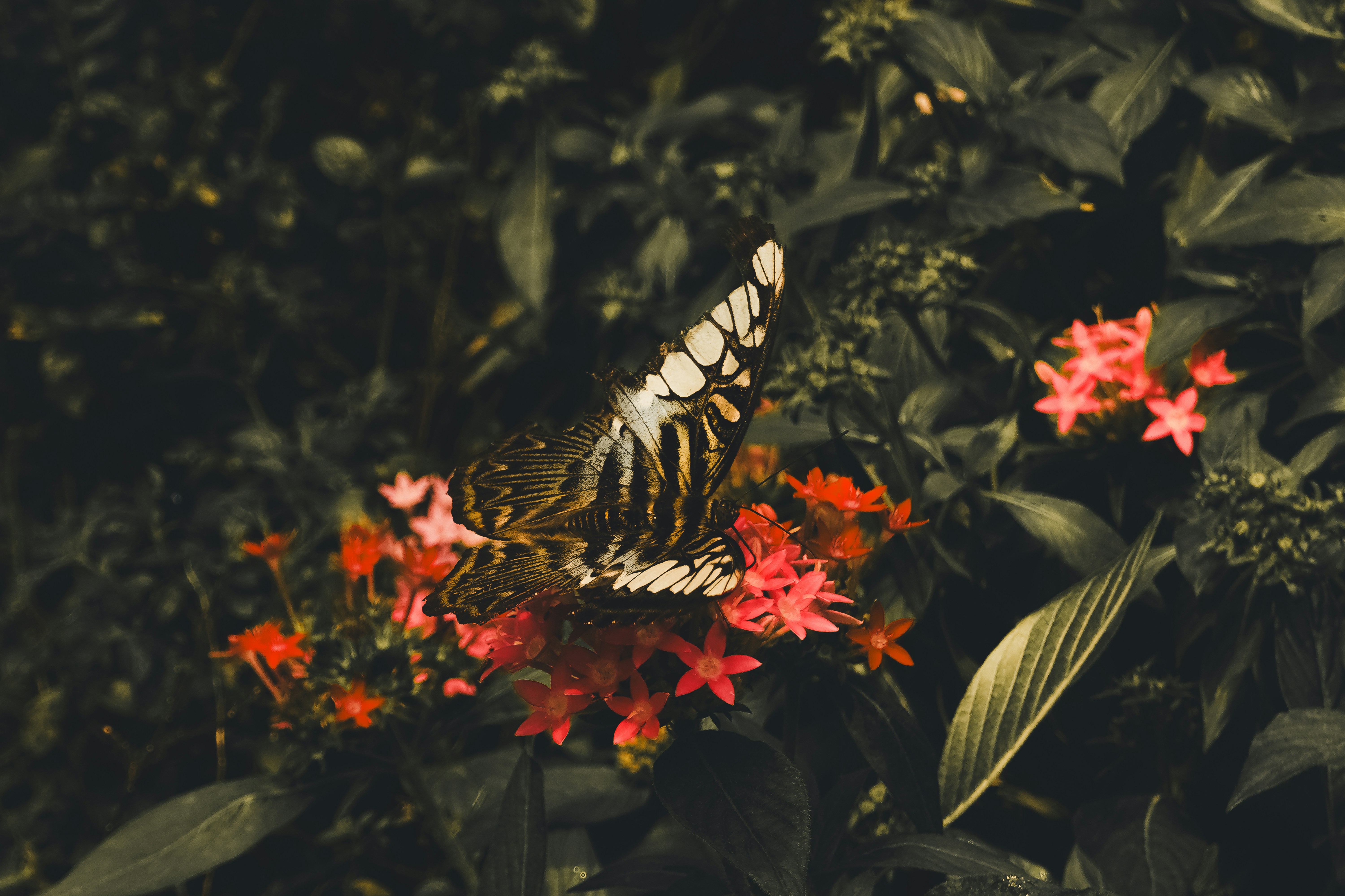 Photo by jaydinh1296