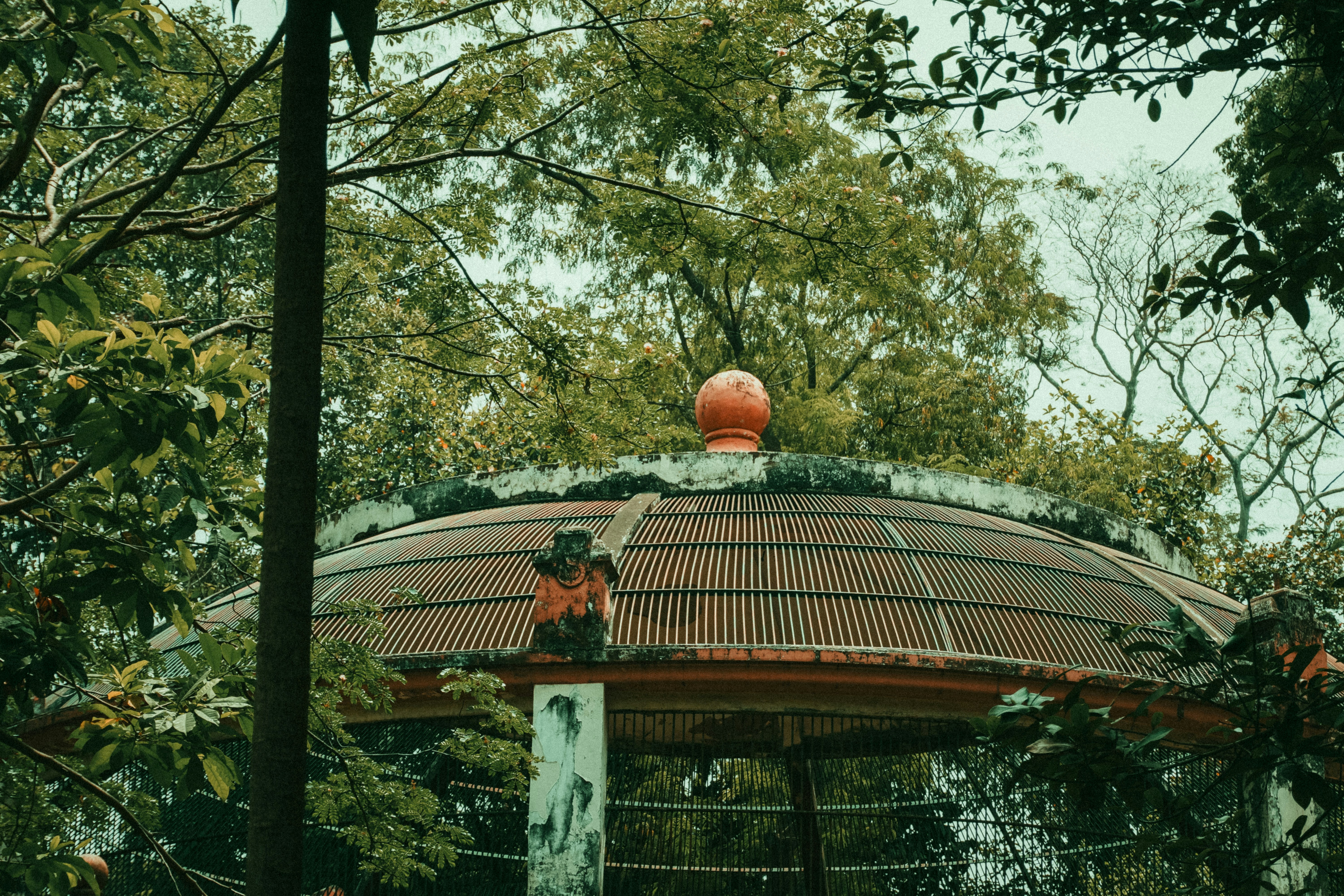 Dome-shaped structure surrounded by lush green trees.