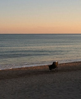 Chair sits peacefully on the calm beach looking out a the sea