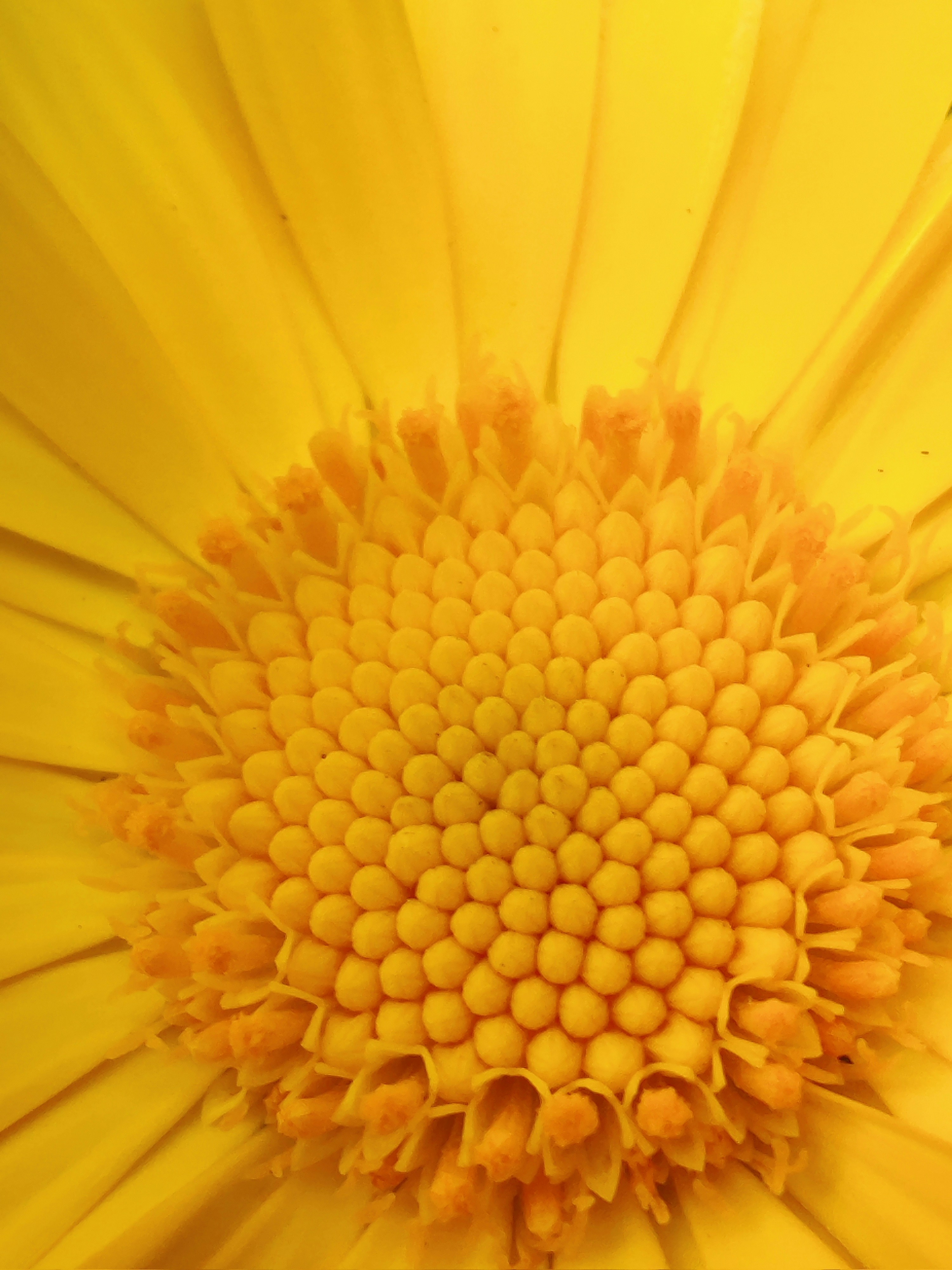 Photo by utkarsh_j49