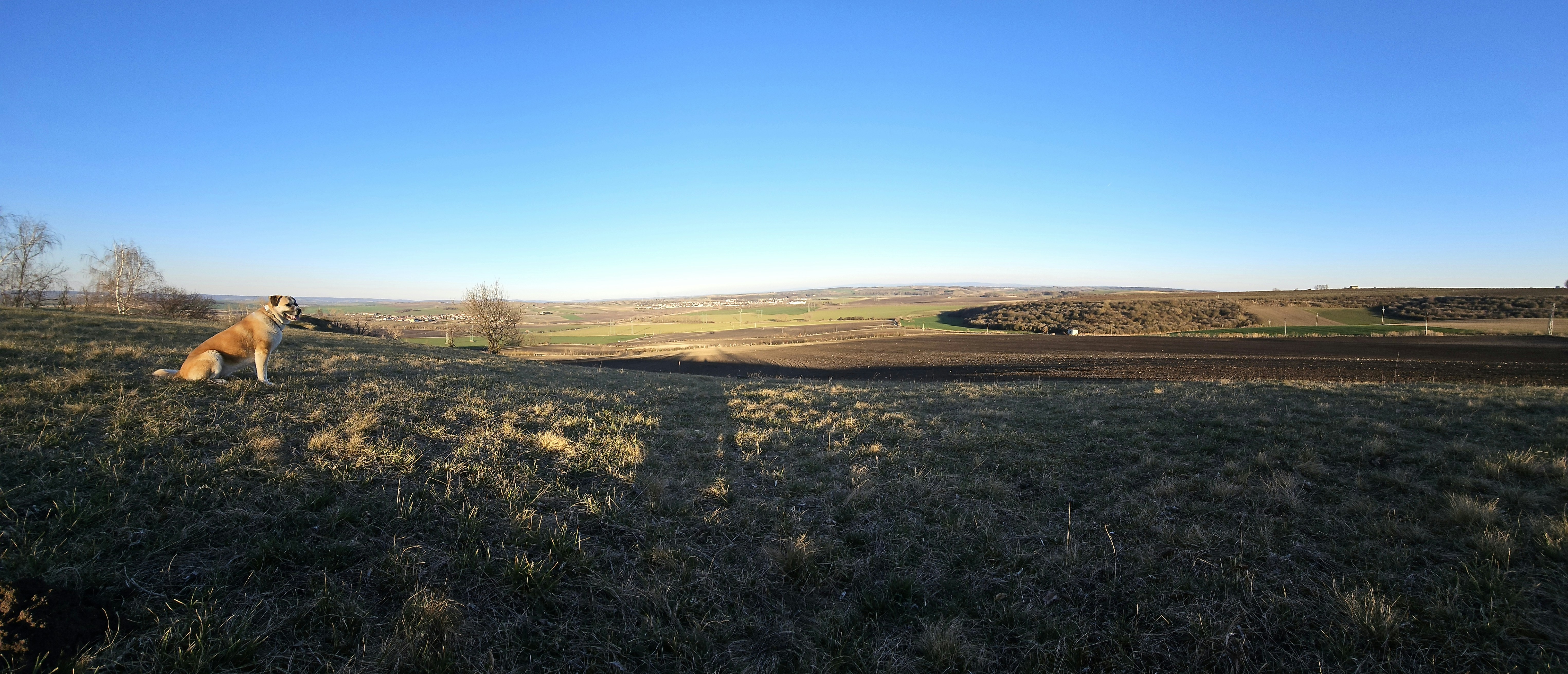 Photo by marjorylucabaxter