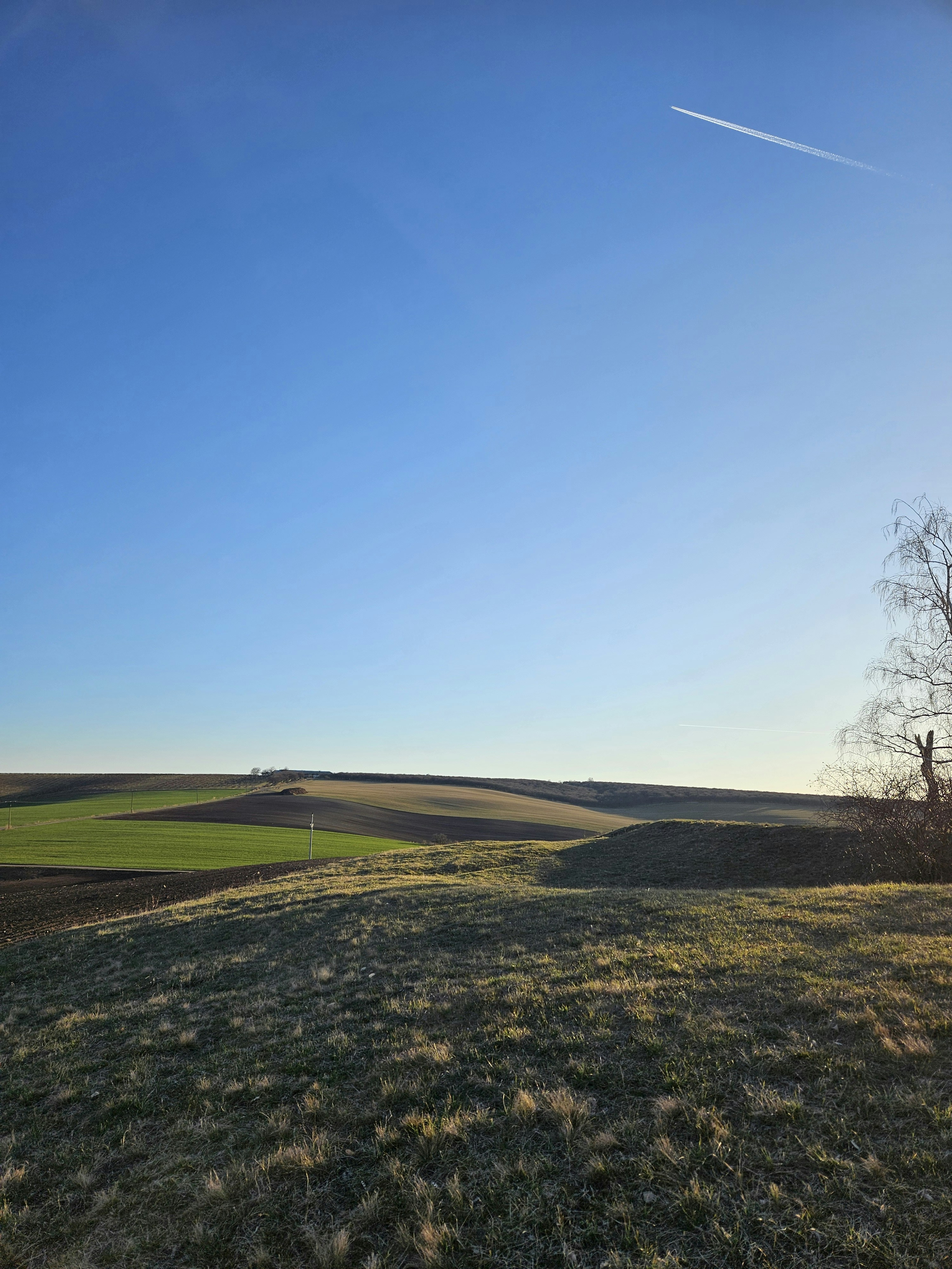 Photo by marjorylucabaxter