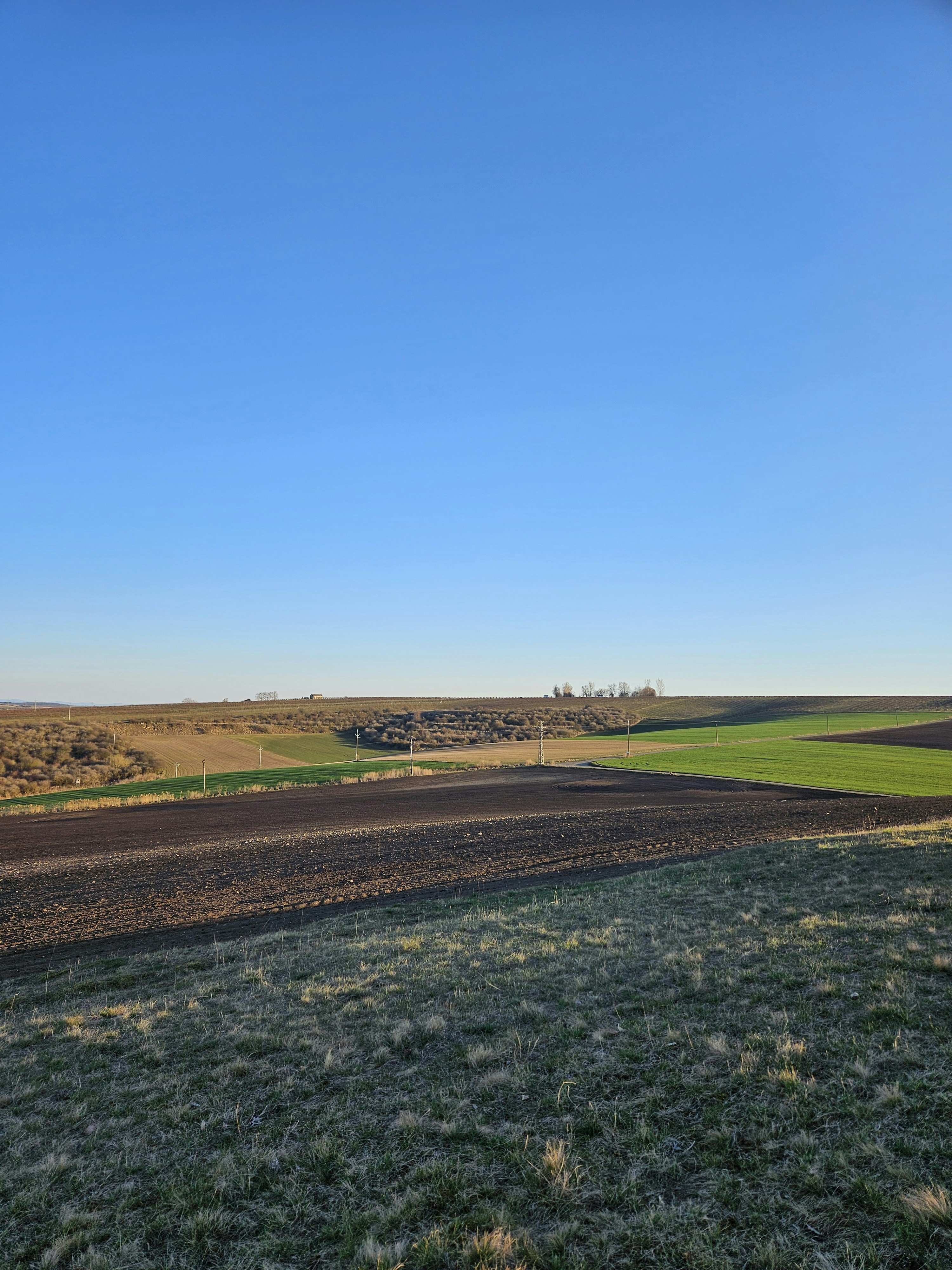 Photo by marjorylucabaxter