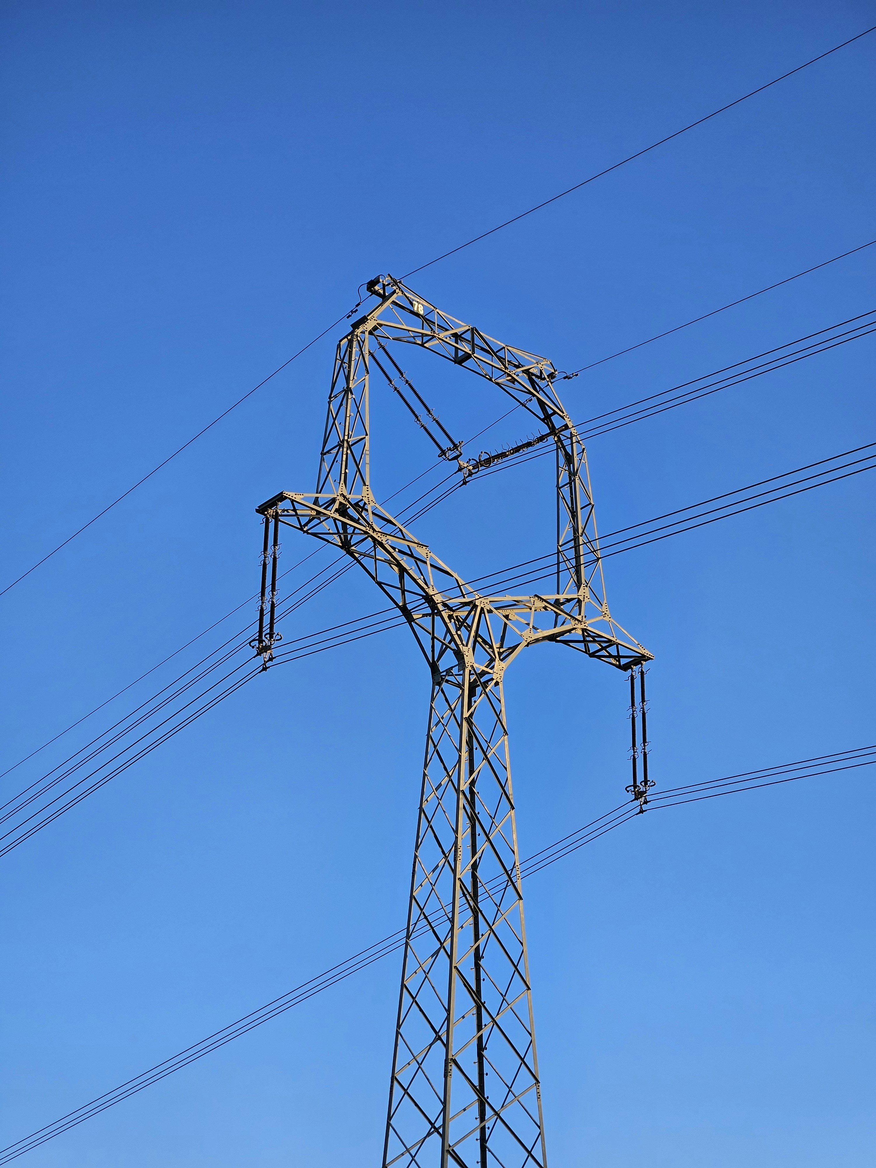 Photo by marjorylucabaxter