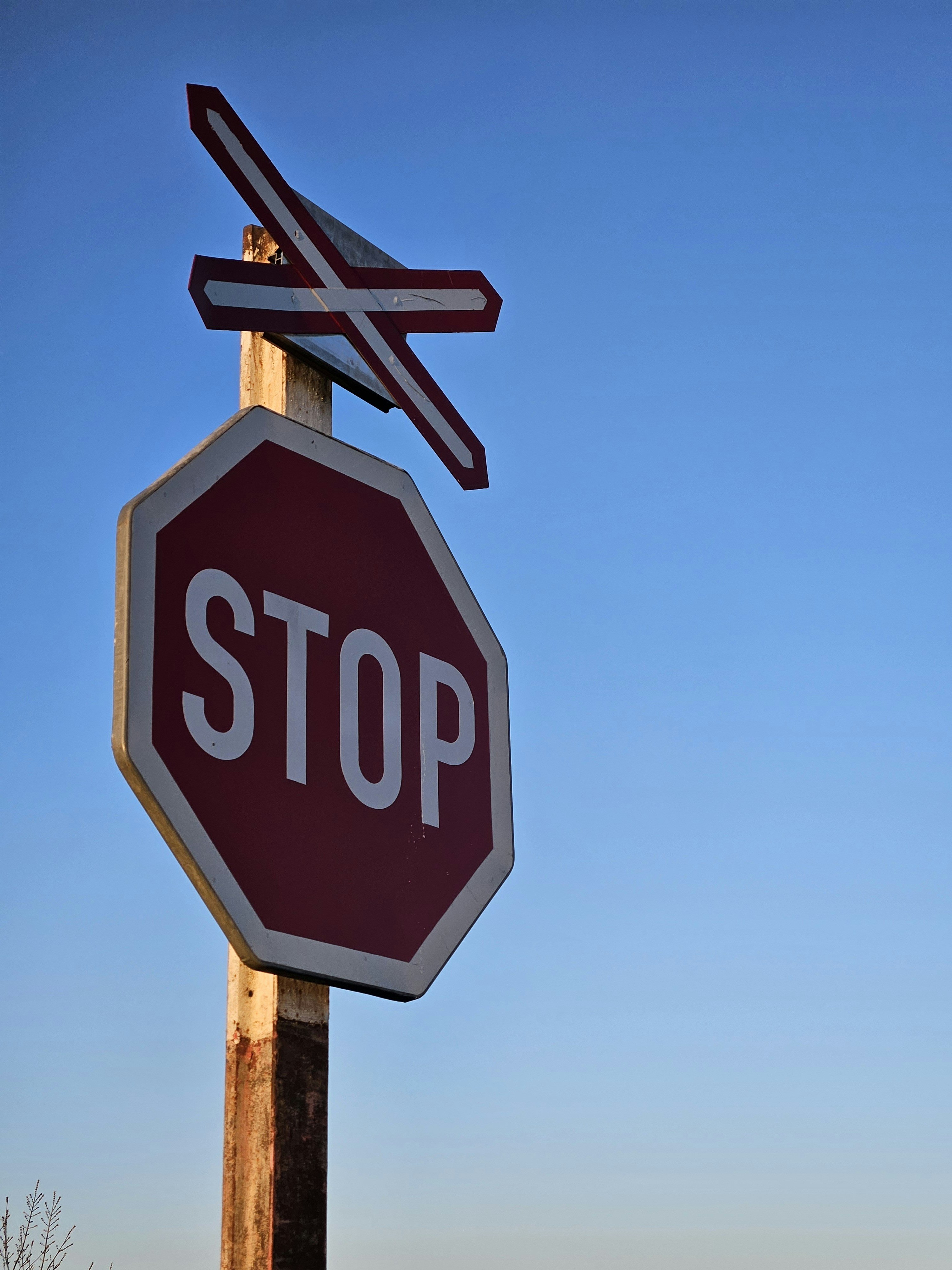 Photo by marjorylucabaxter