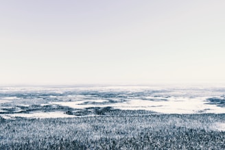 Snowy landscape stretches toward a hazy, bright horizon.