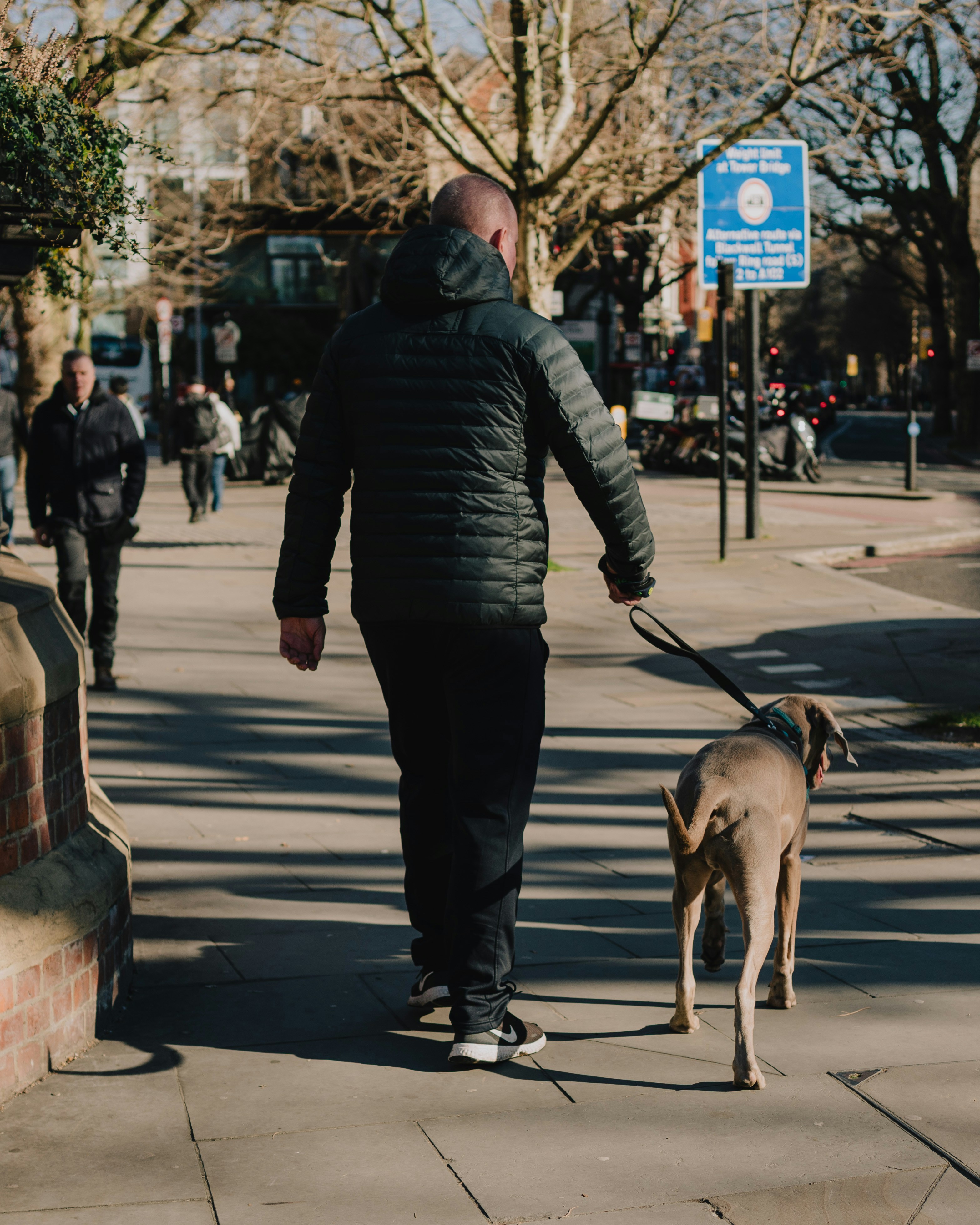 Photo by raymondokoro