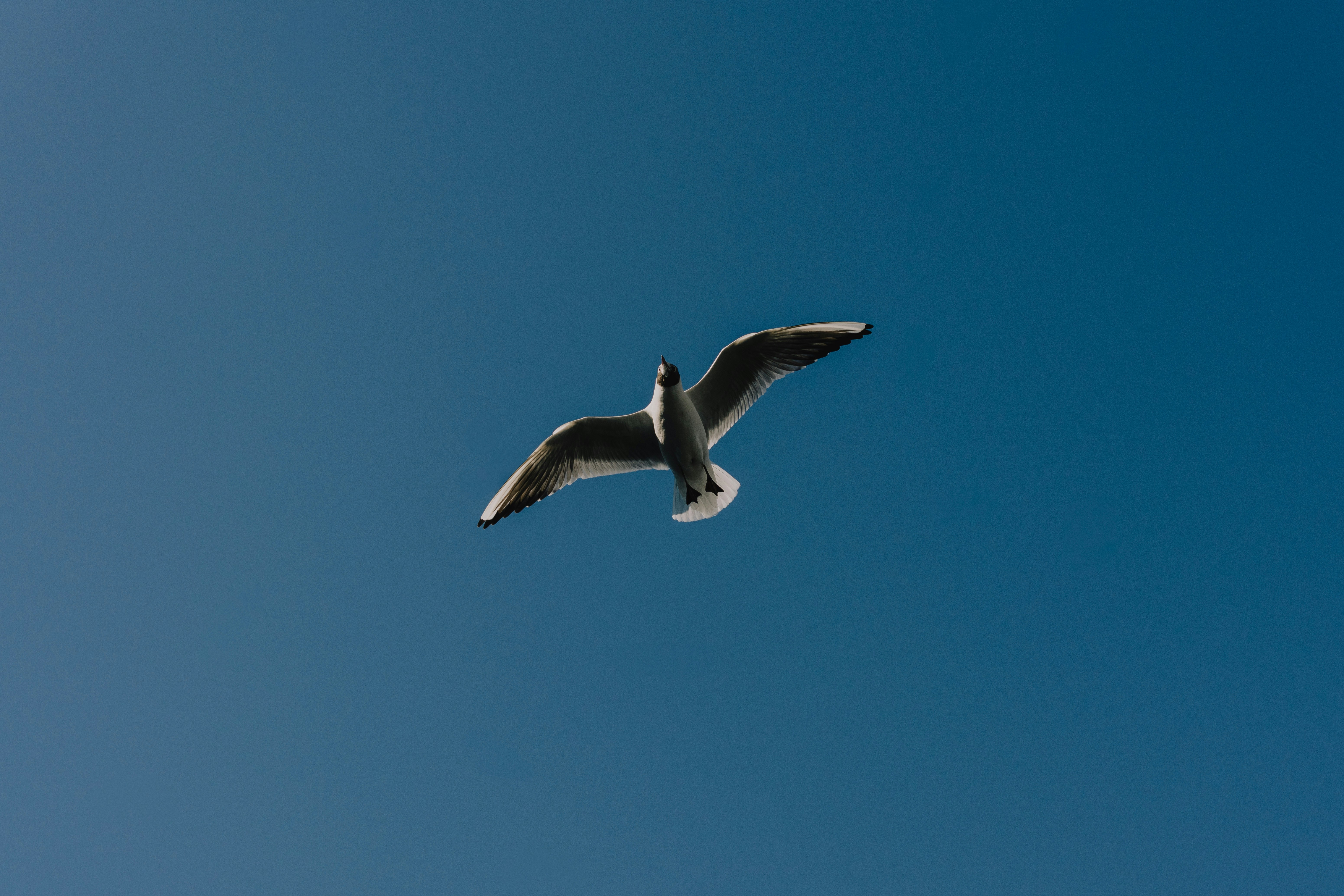 Photo by raymondokoro