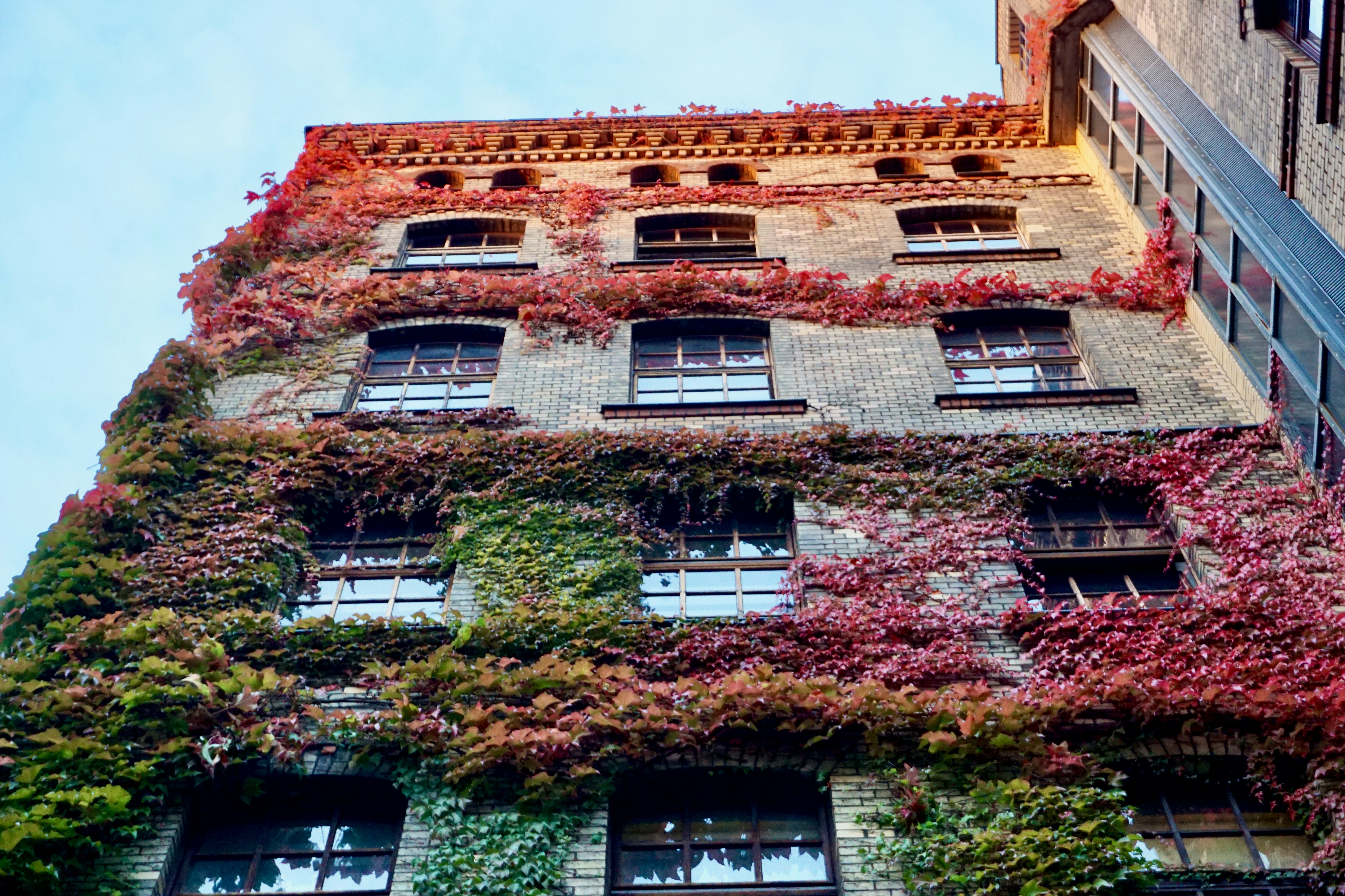 Photo by hasantayyar