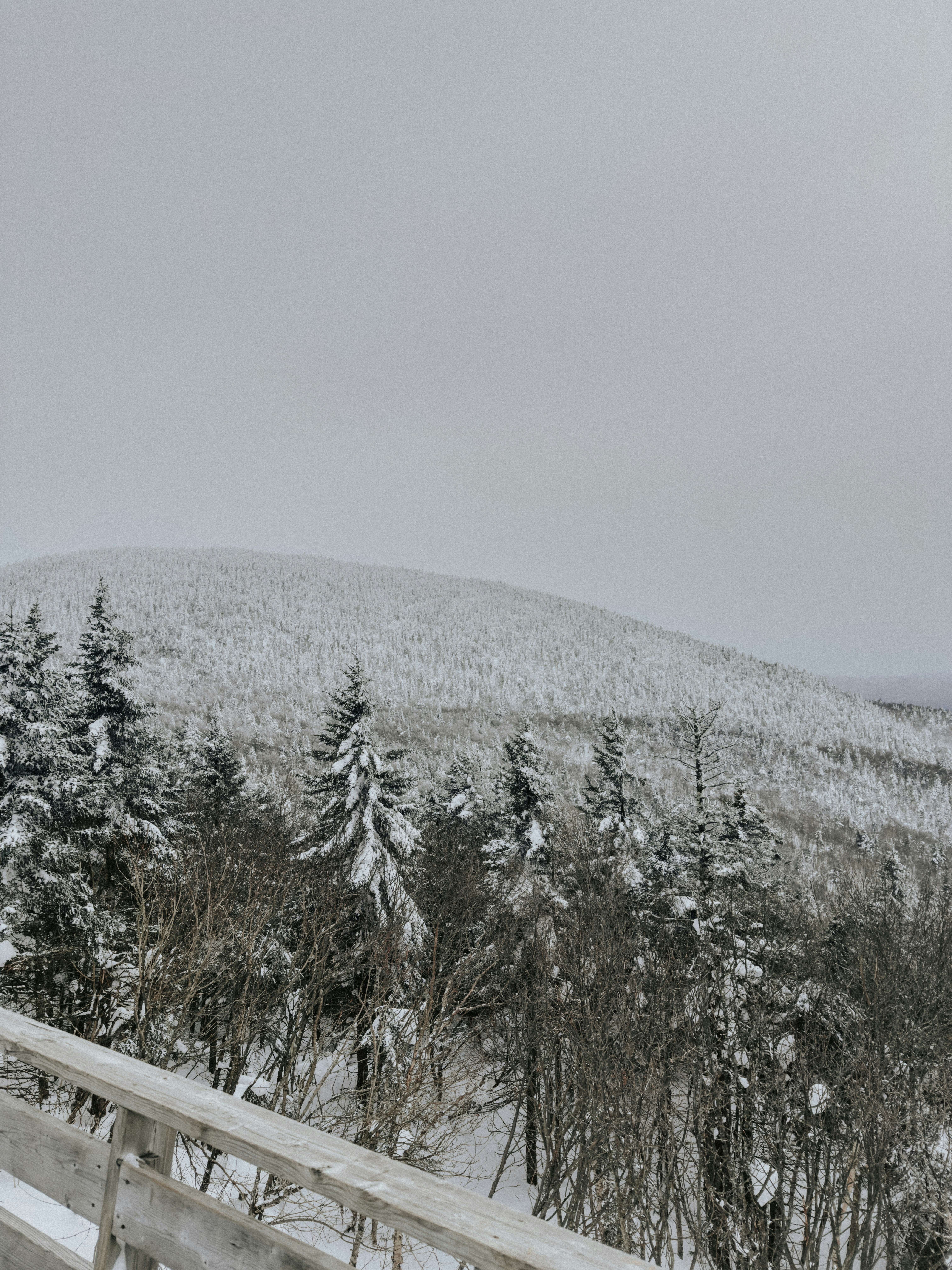 Photo by user90807060