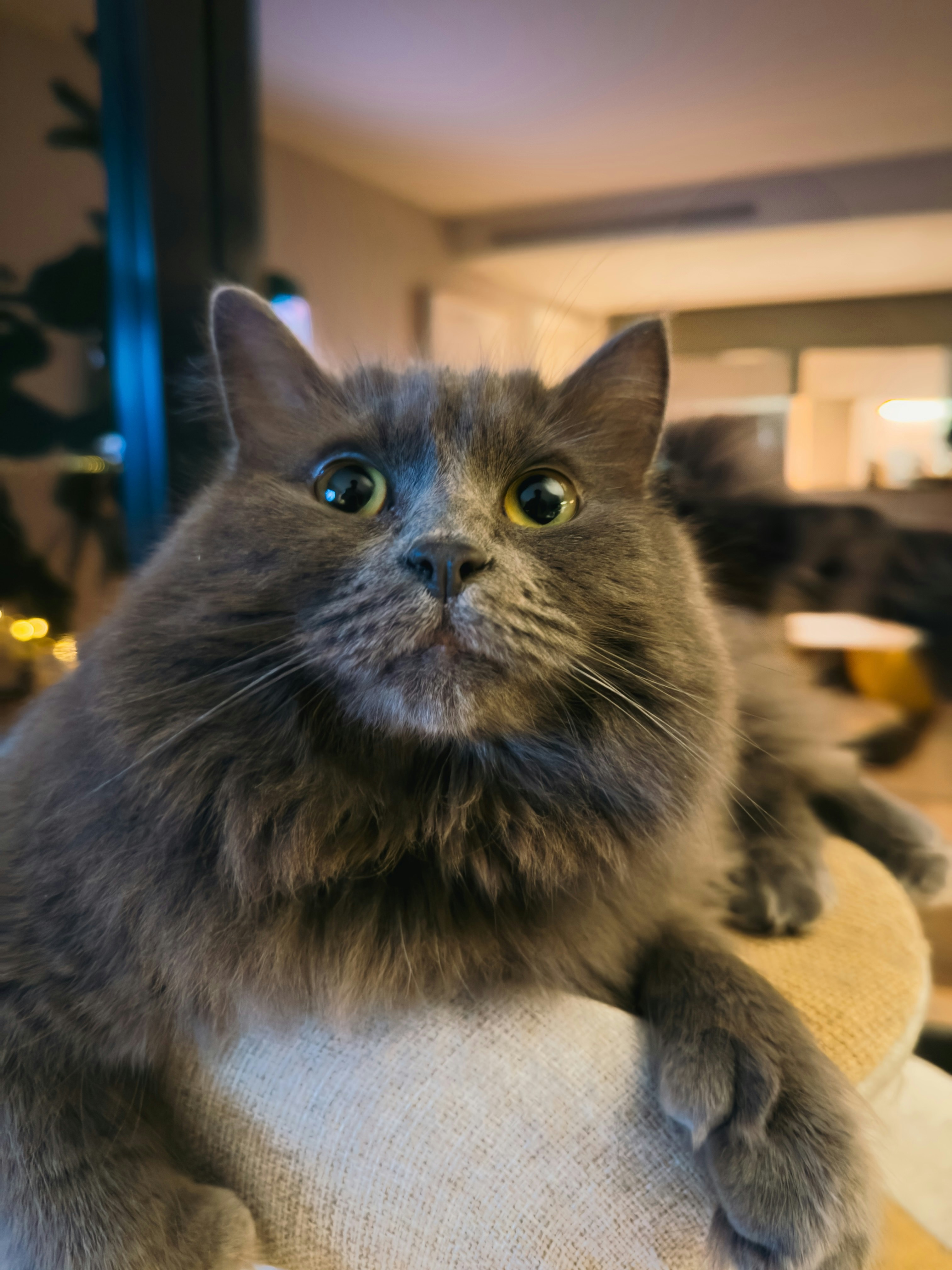 Photo by user90807060