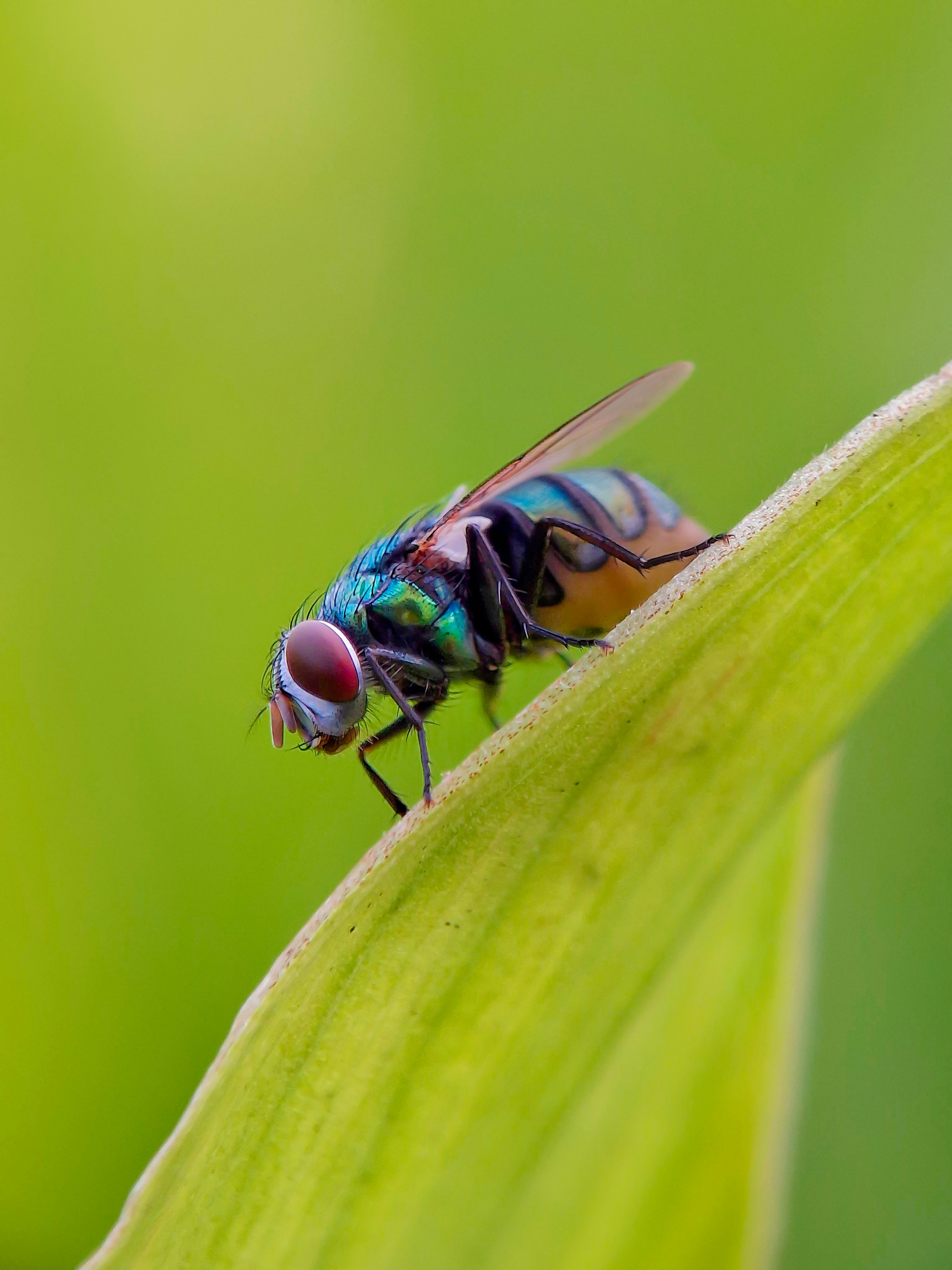 Photo by abdulrouf7463