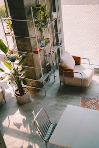 Sunlit room with plants