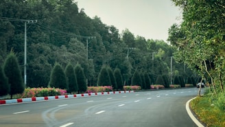 Road curves along a wooded landscape.