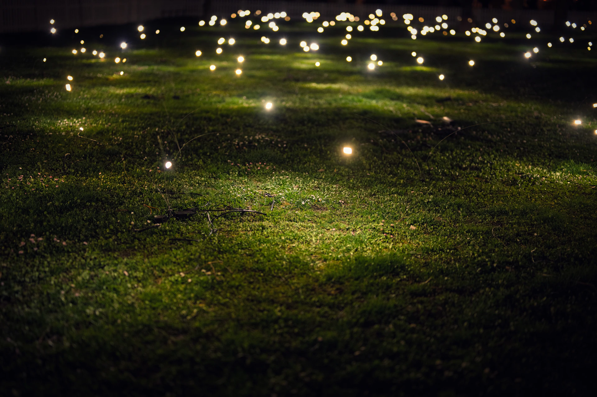 Small lights sparkle across a grassy field.