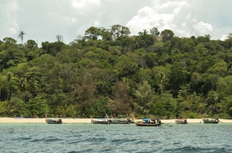 Boats sit on the shore of a lush, green island.
