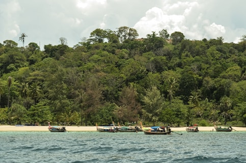 Boats sit on the shore of a lush, green island.