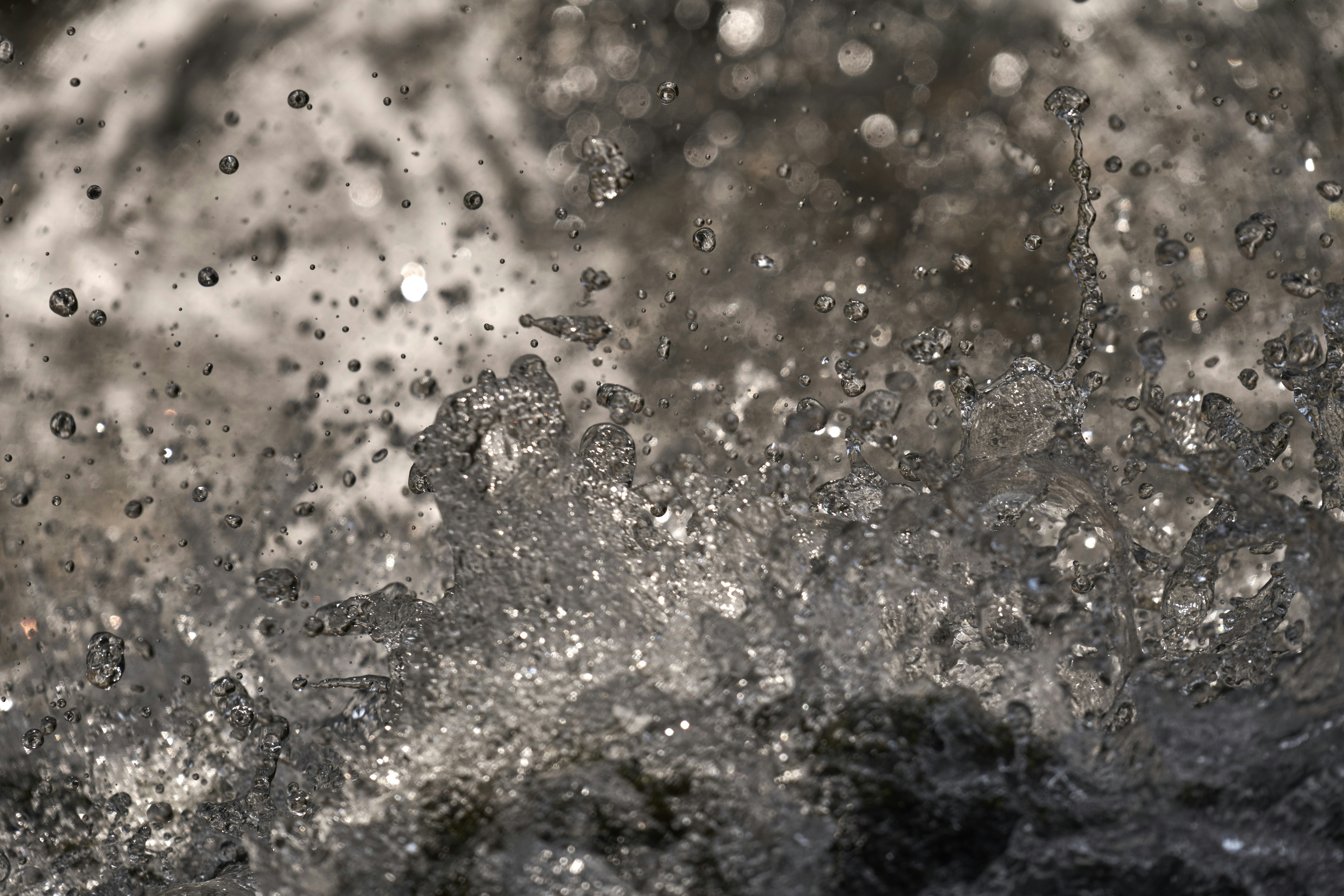 Photo by wolfgang_hasselmann